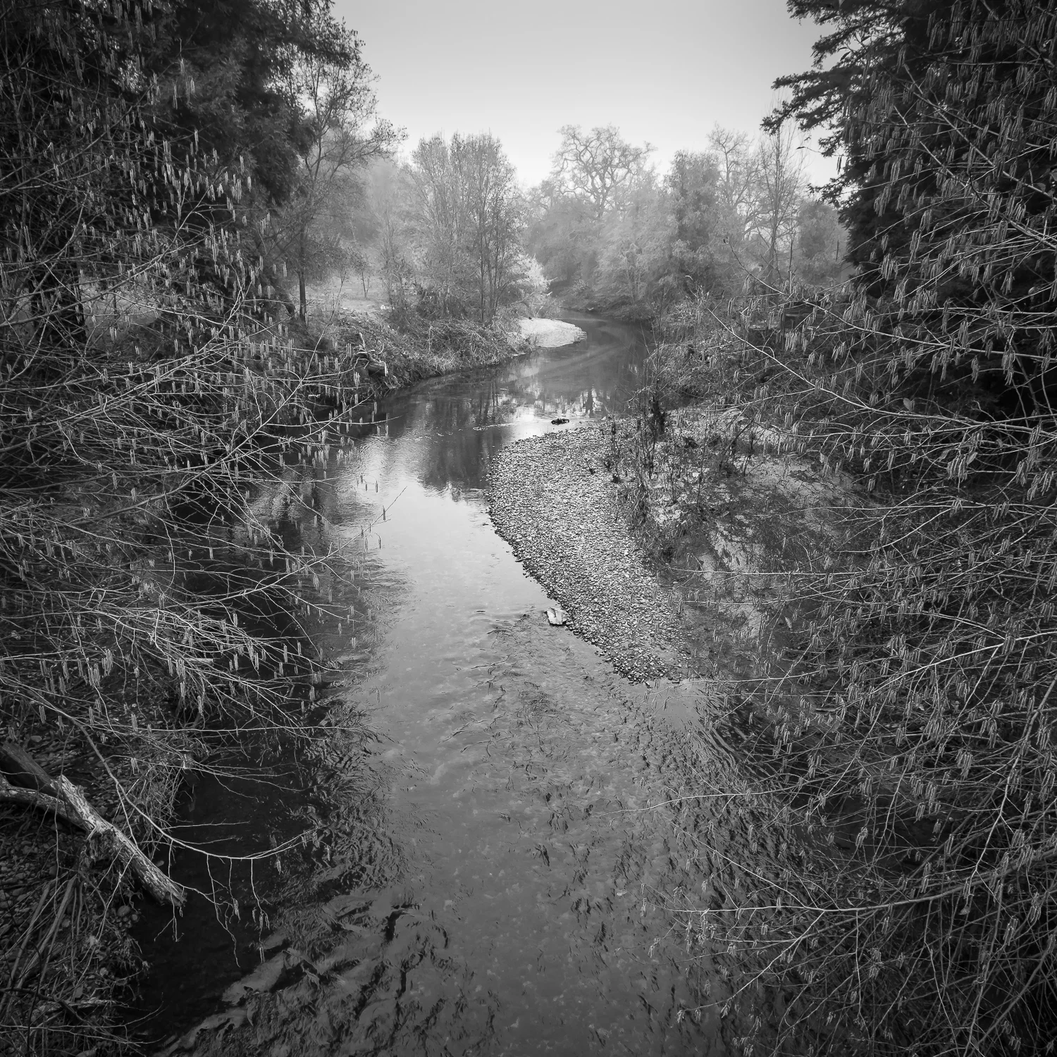 Dry Creek