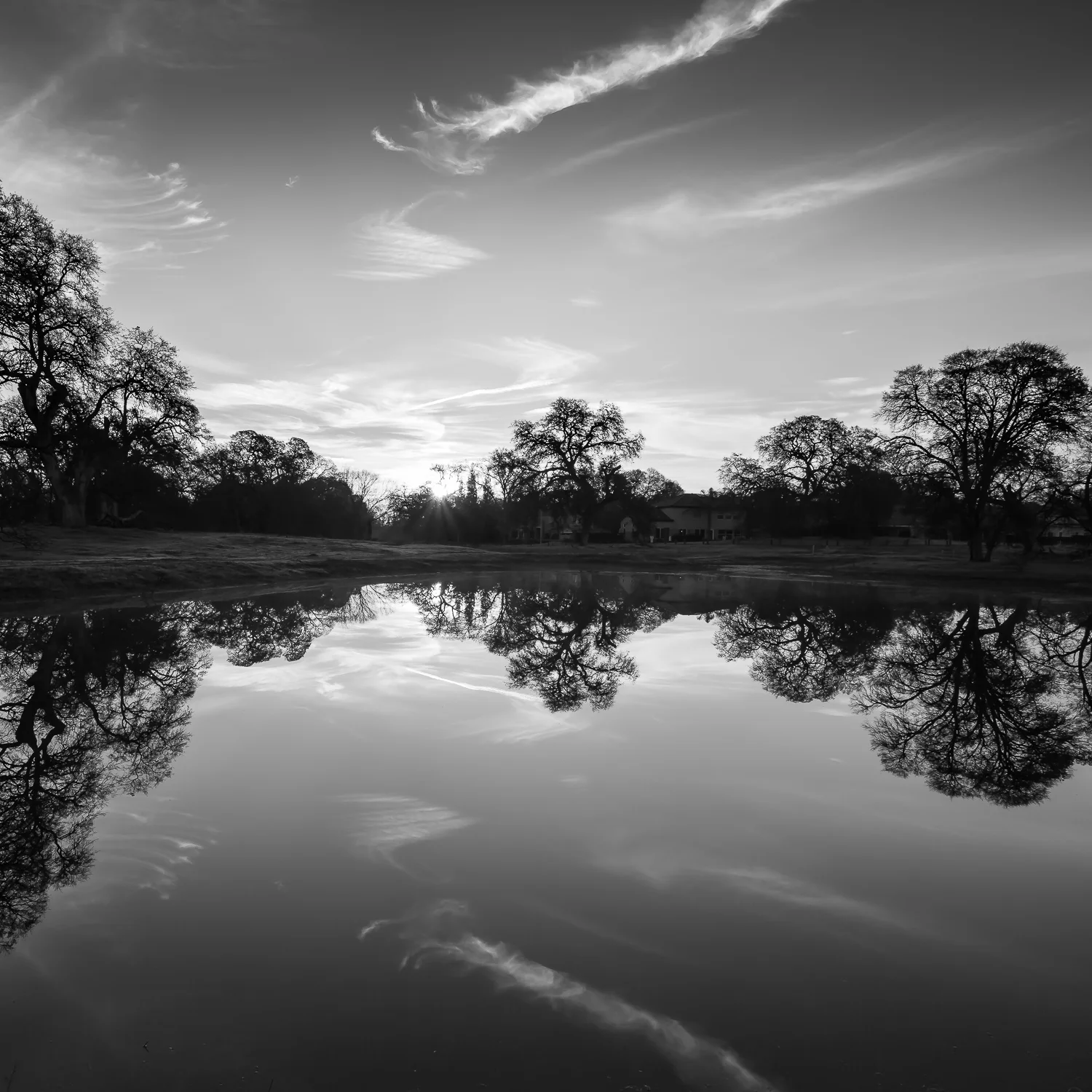 Sunrise Over Pleasant Grove Pond, Study 2