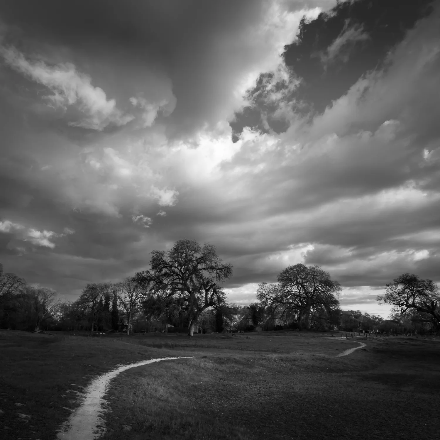 Evening Light Over Pleasant Grove Trail