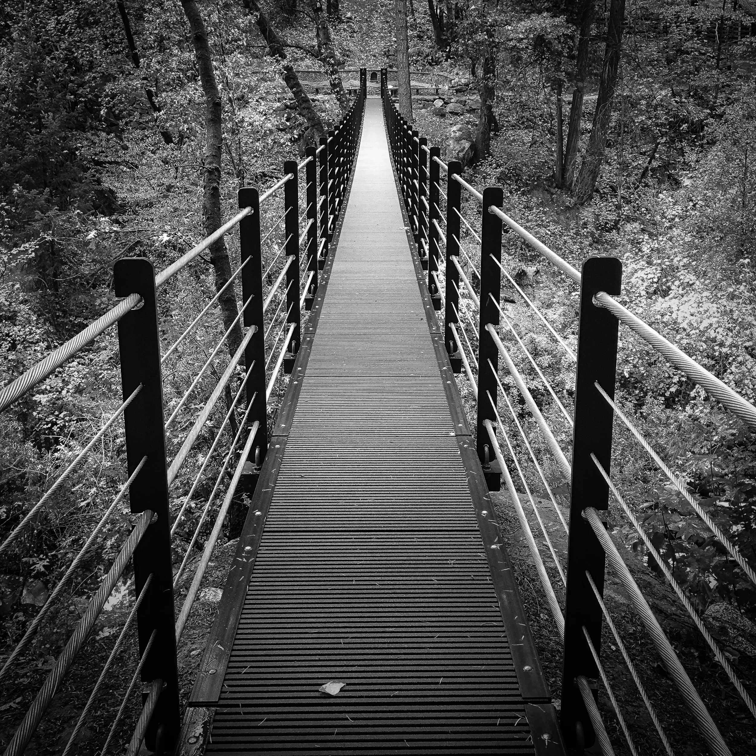 Deer Creek Suspension Bridge