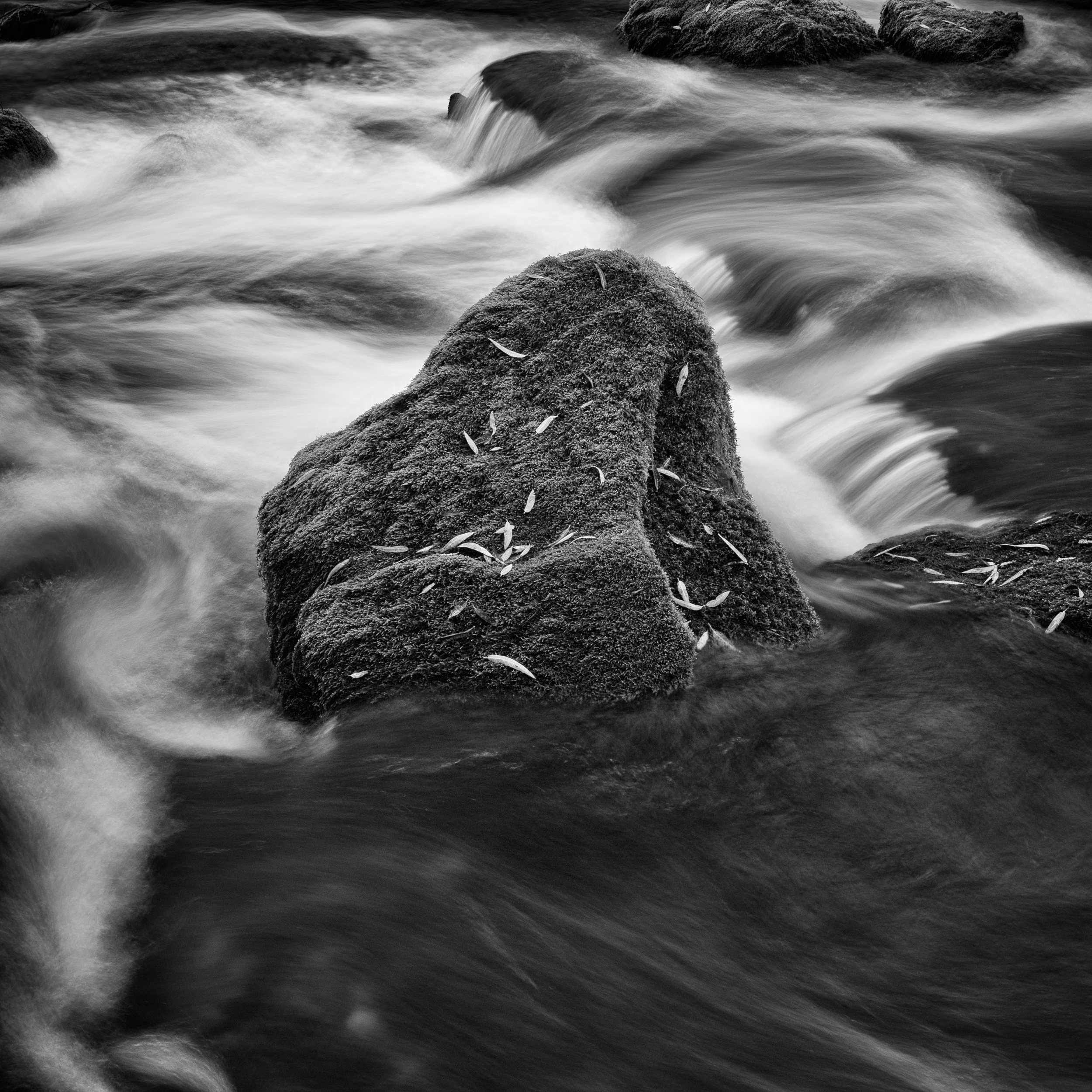 Pocket_Water_and_Boulder.jpg