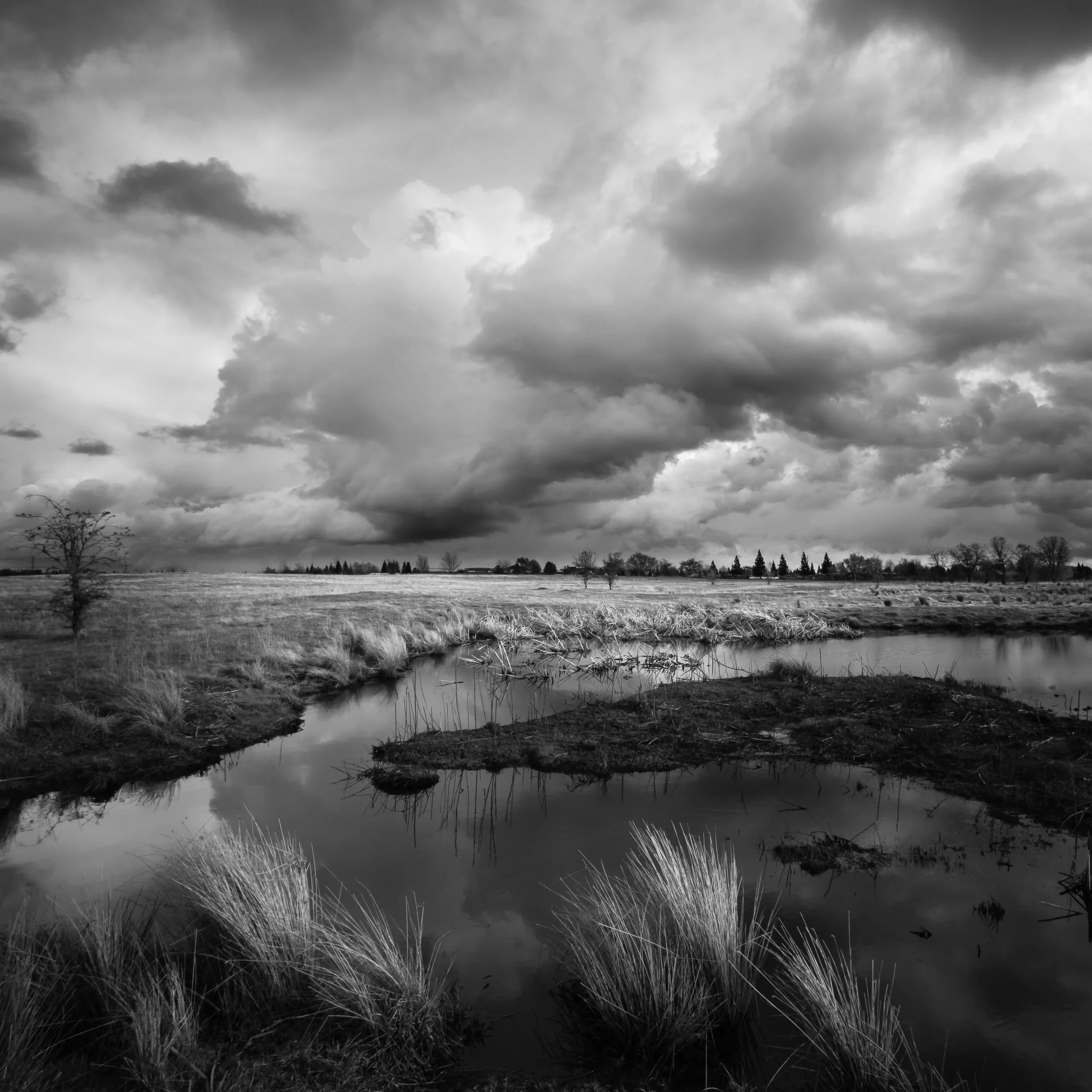 Storm Clouds Over Mahany Wetlands, Study 2