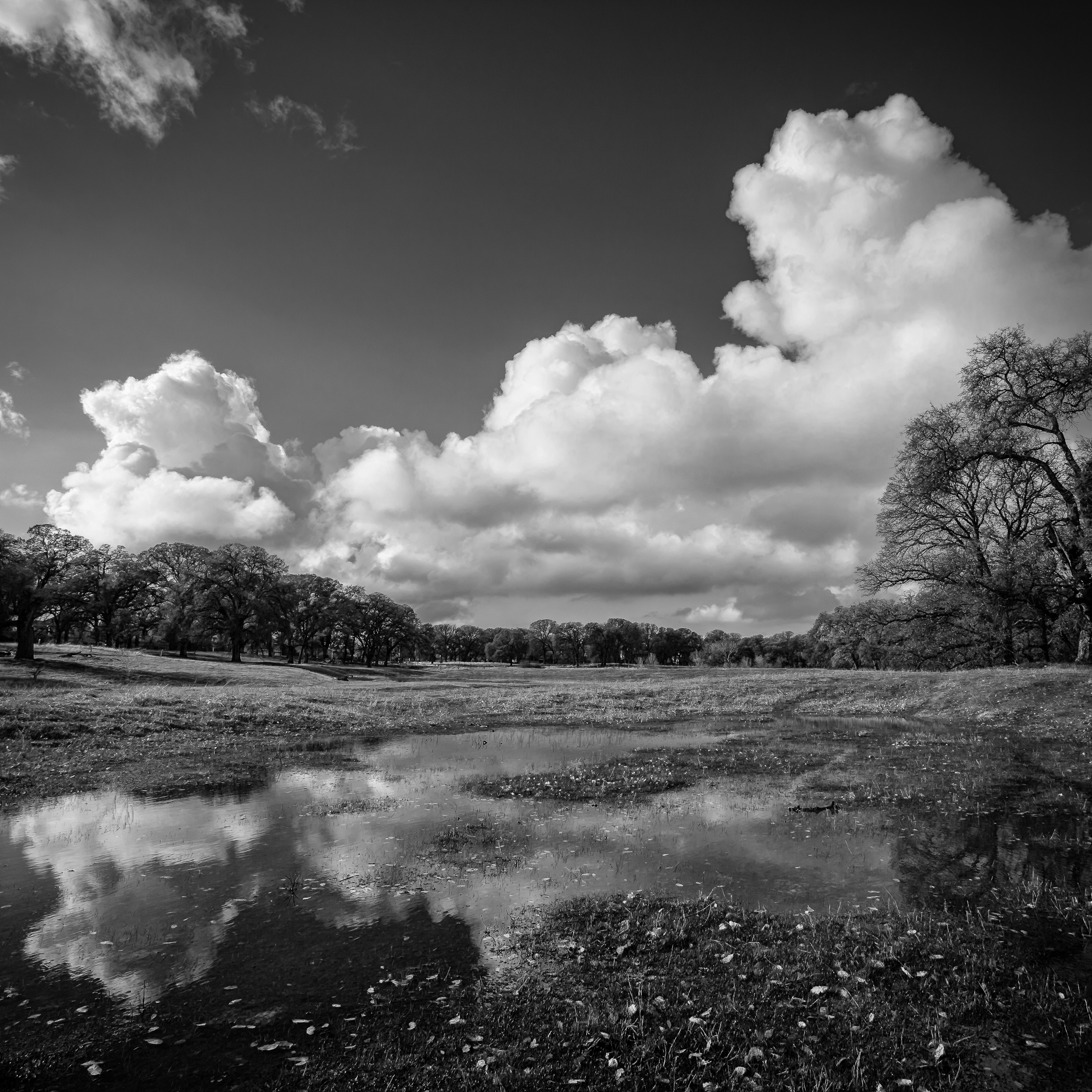 Cloud Study 1