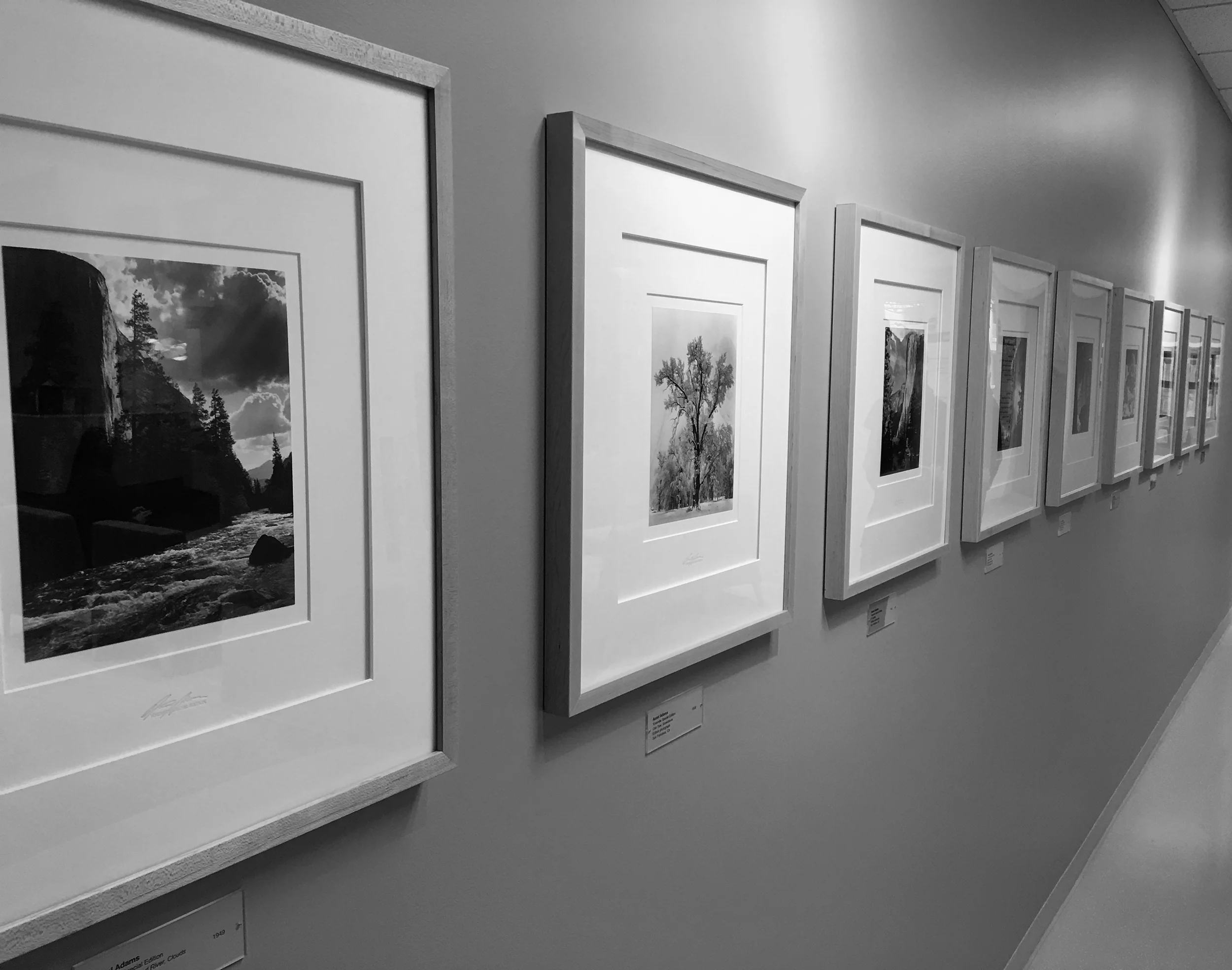 A collection of small Ansel Adams prints
