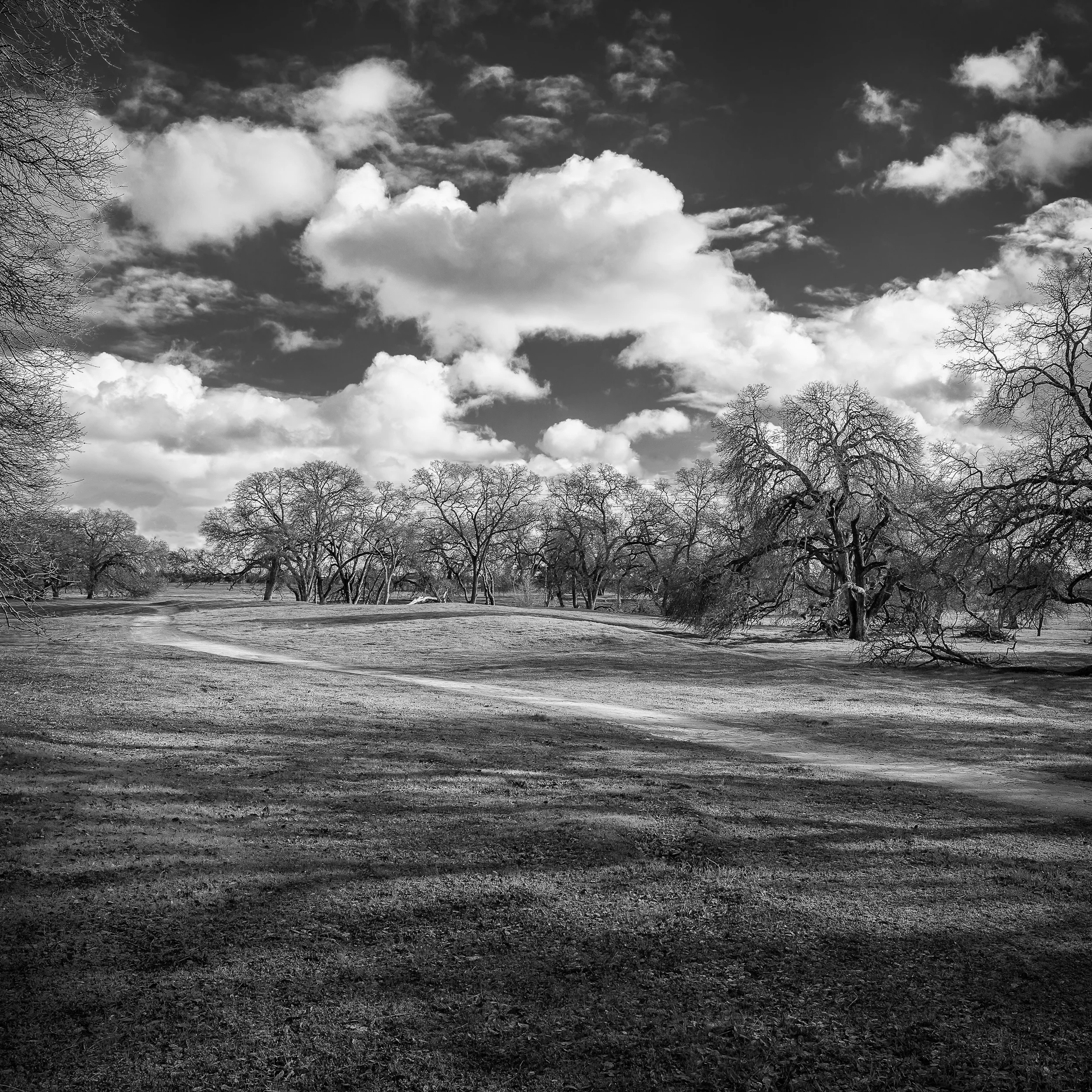 Mahany Open Space