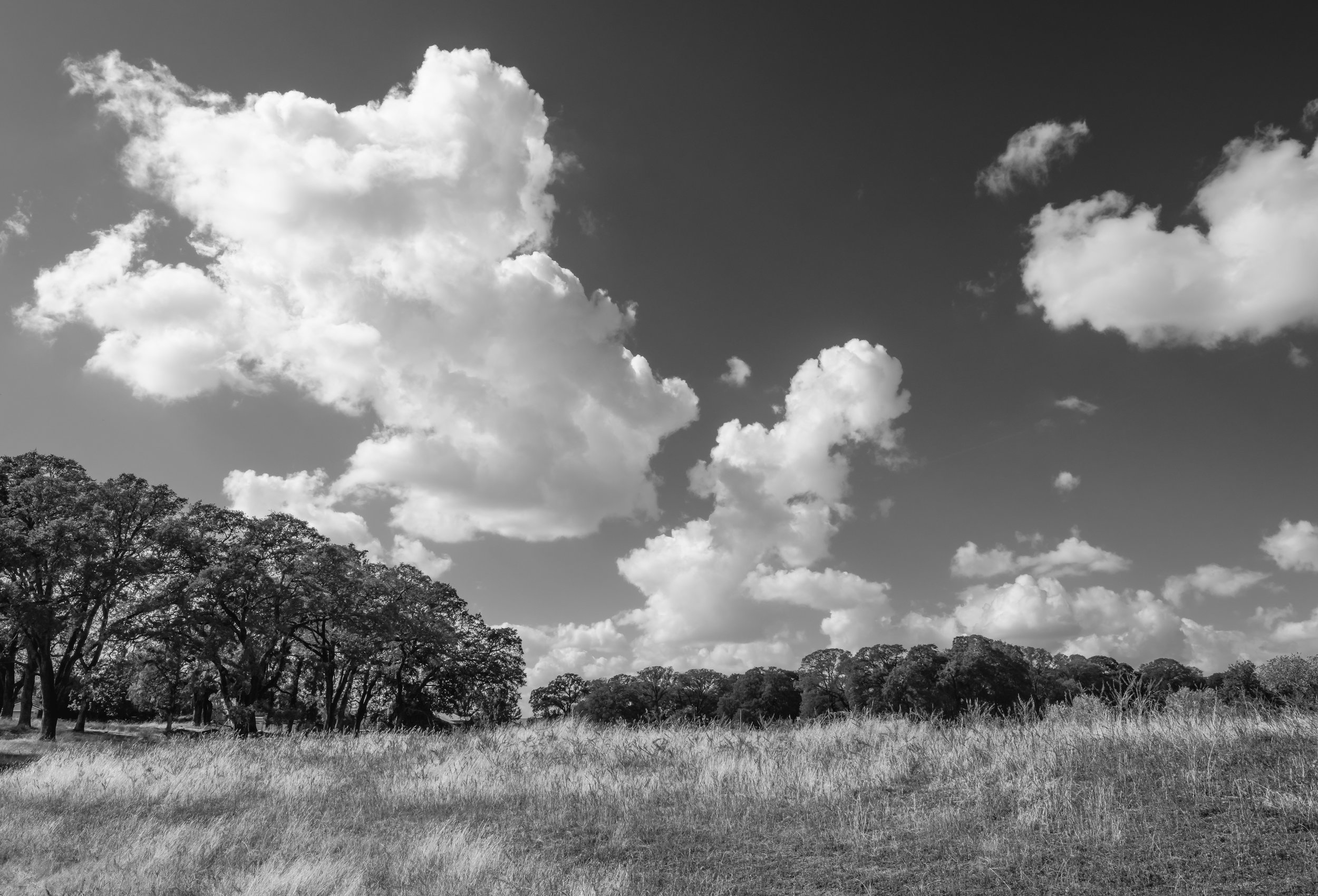 First Storm Cloud Study 1