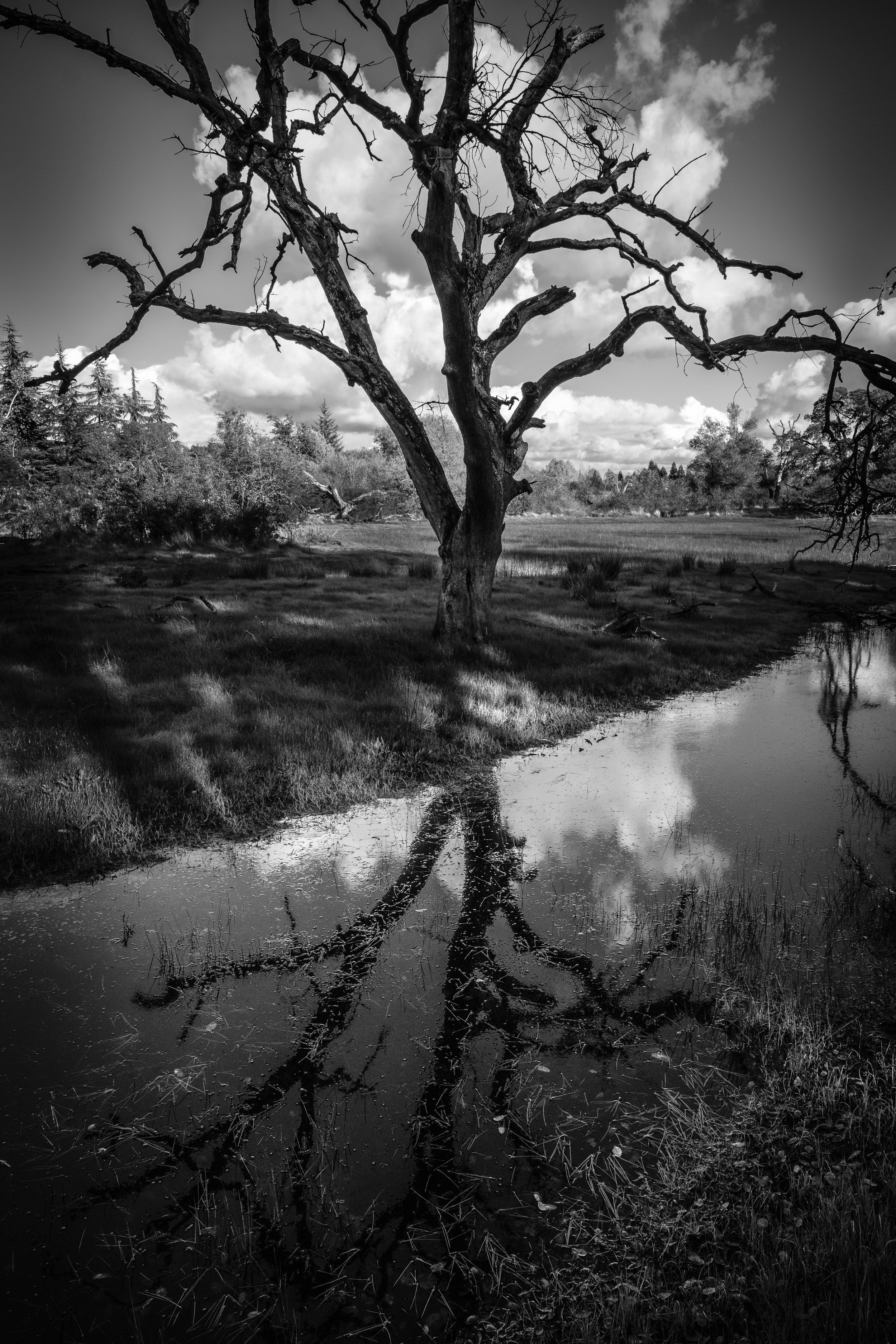 What Lies Beneath