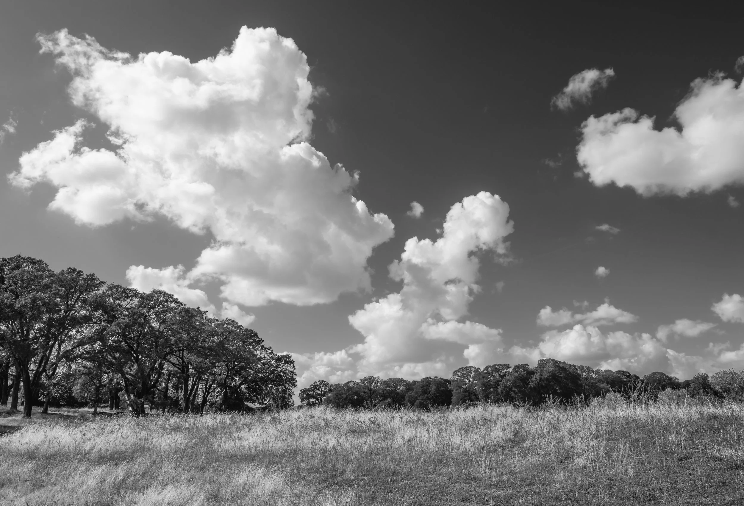 First Storm Cloud Study 1