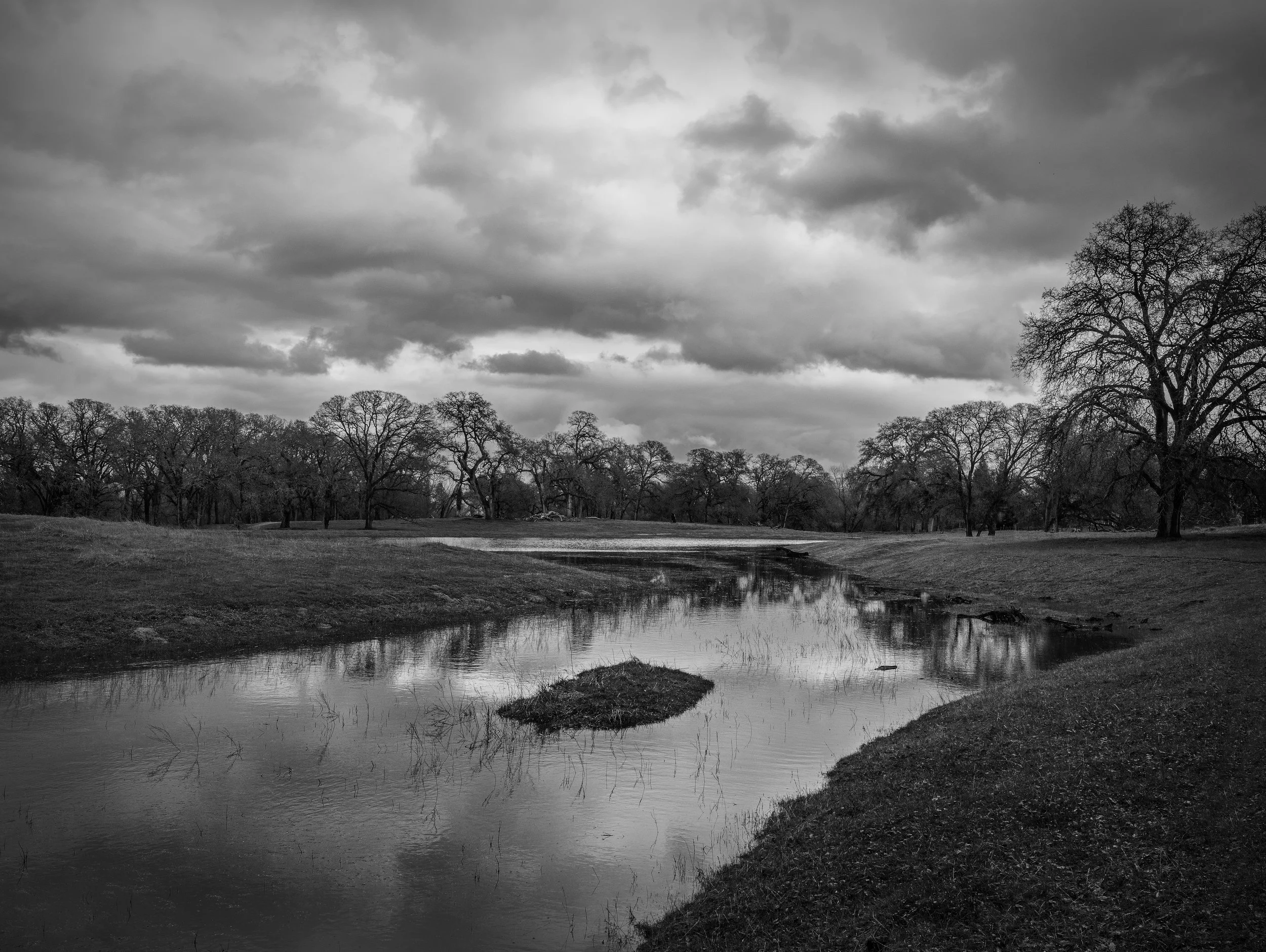 The Wetland at Branch Creek
