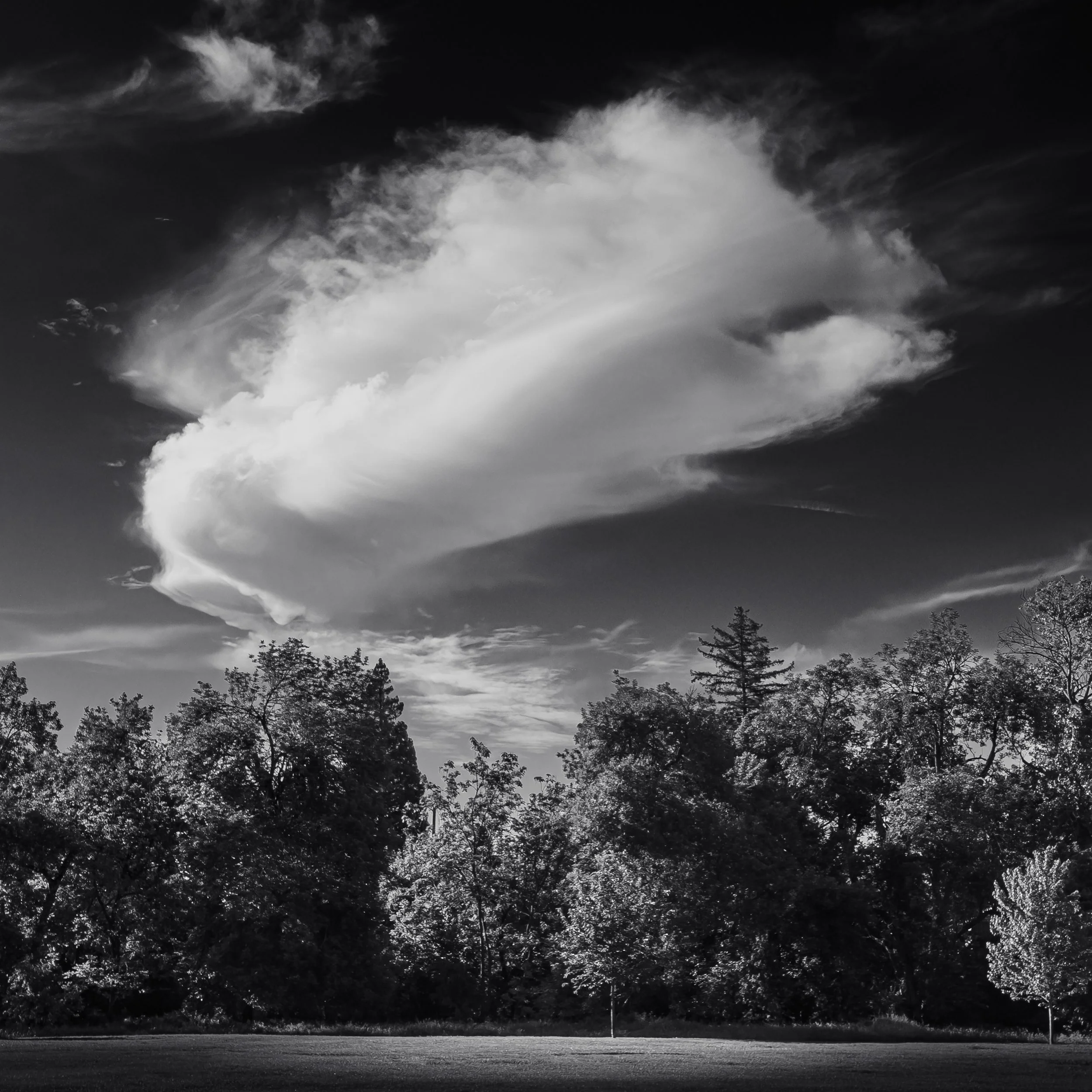 Cloudburst Over Saugstad Park