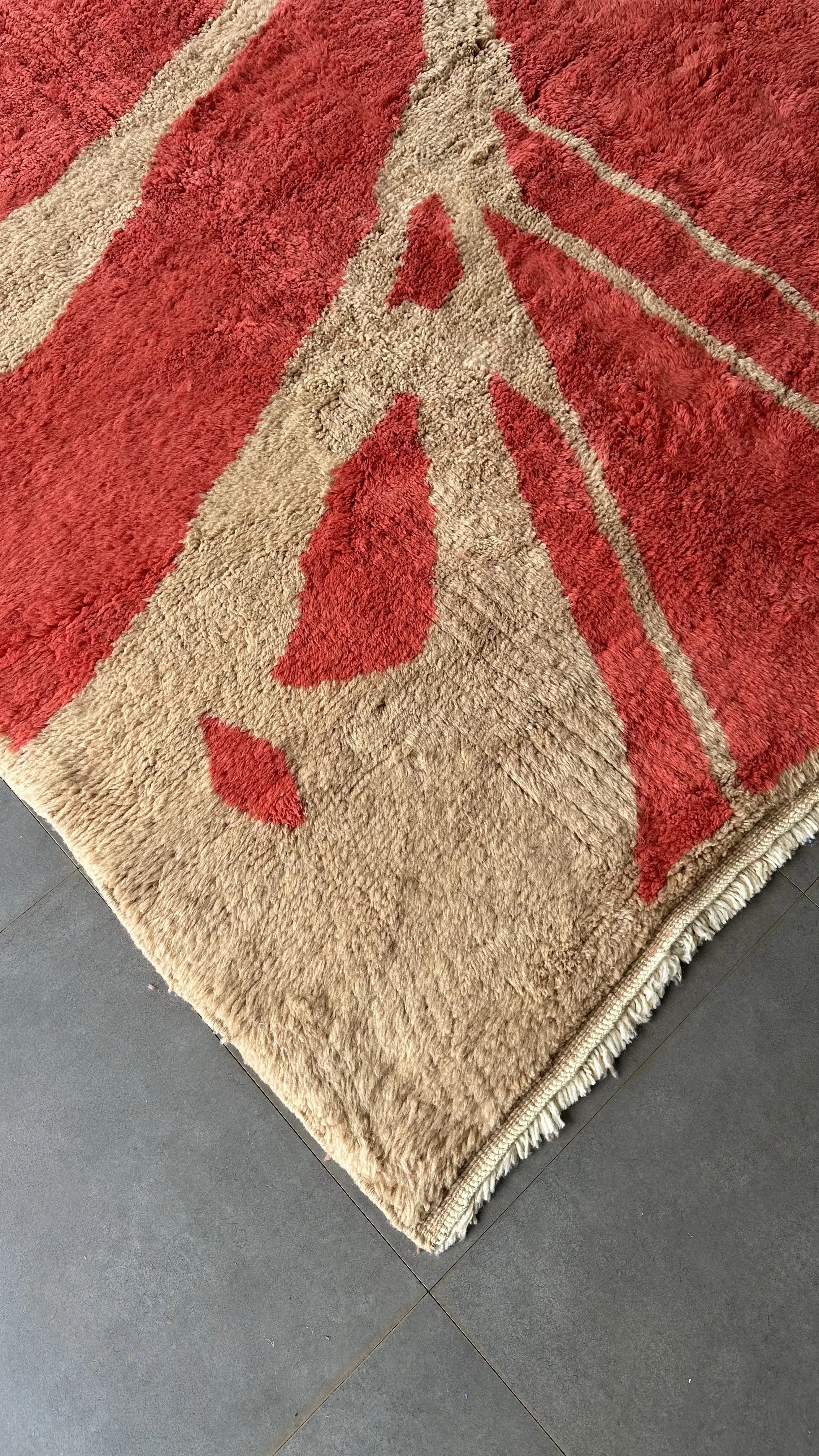 IMG_2582(1) copy.jpg