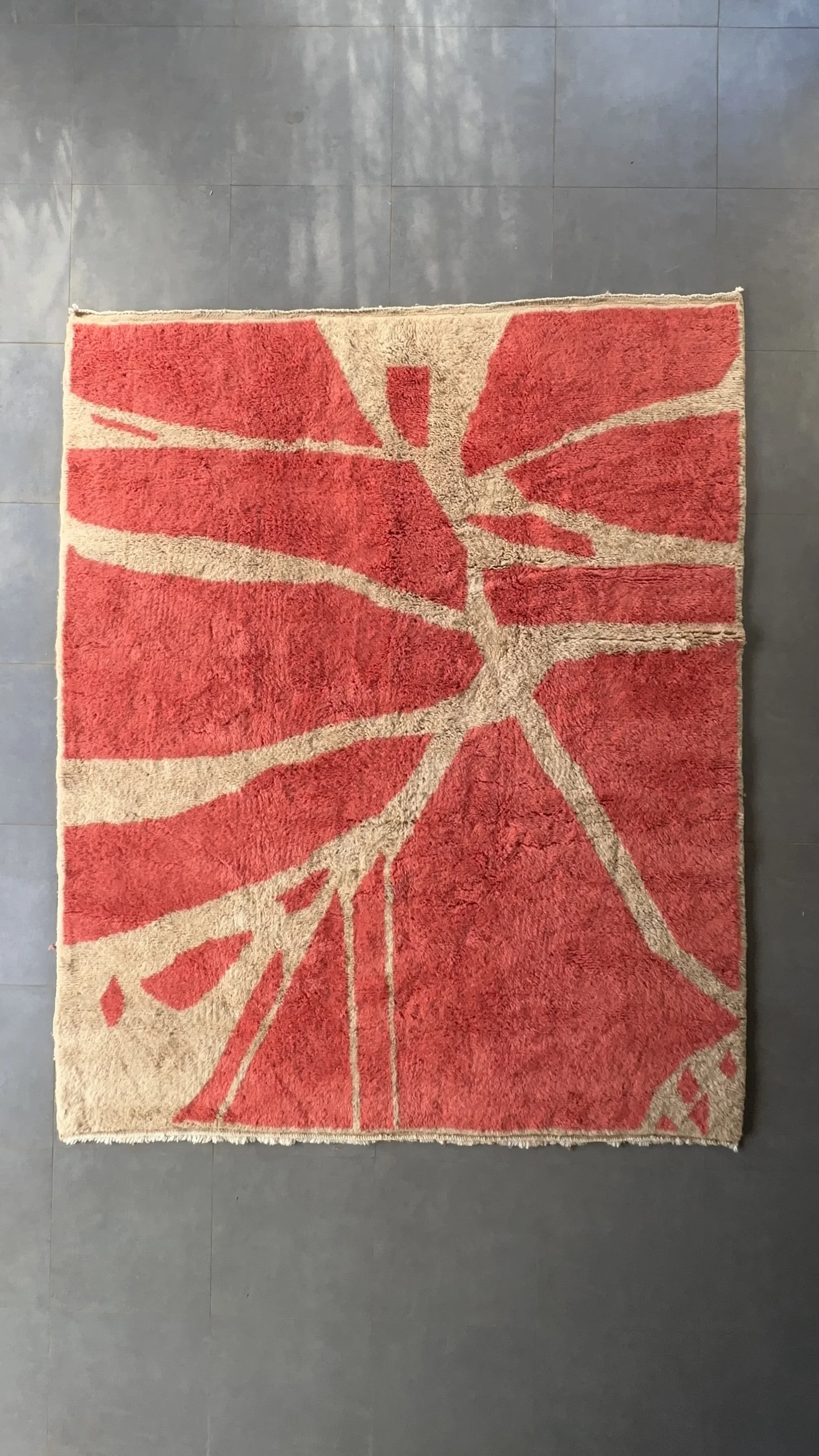 IMG_2625(1) copy.jpg