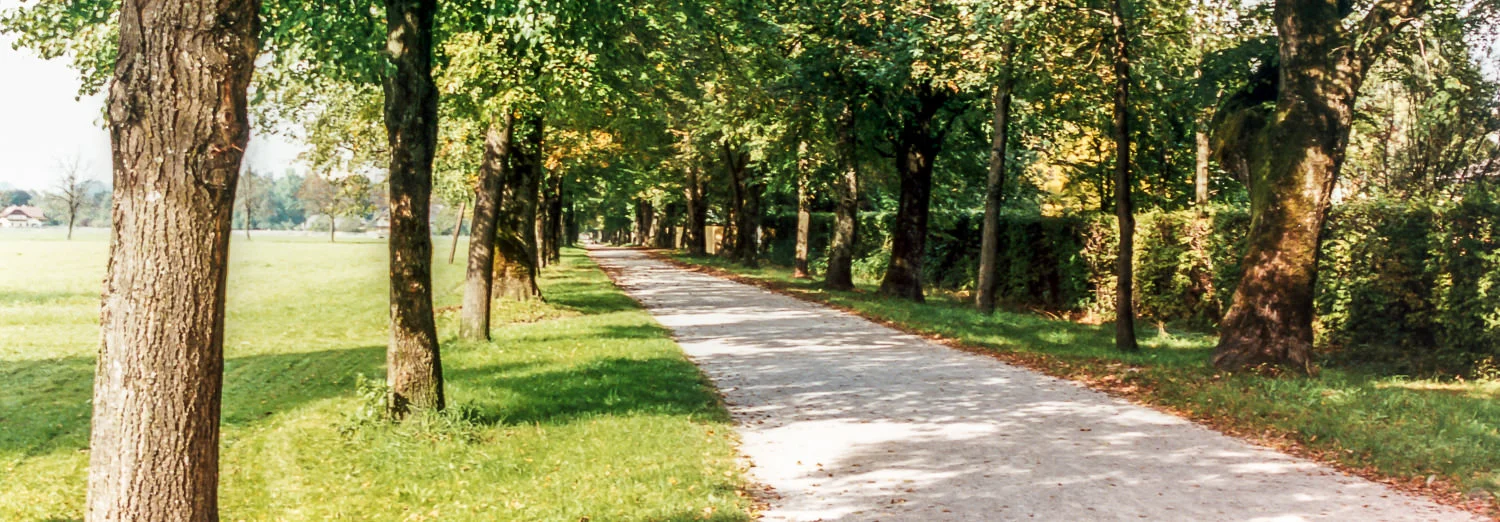 Hellbrunner Allee