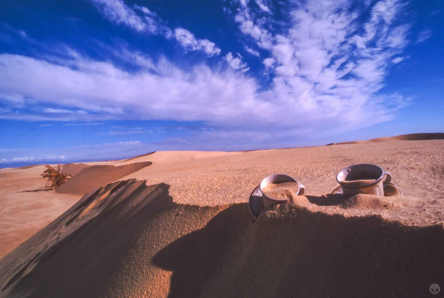 "Tea In The Sahara," 2000 October 27, near Mos Espa and Onk Jamel, Chott Chtihatt Sghat, Tunisia