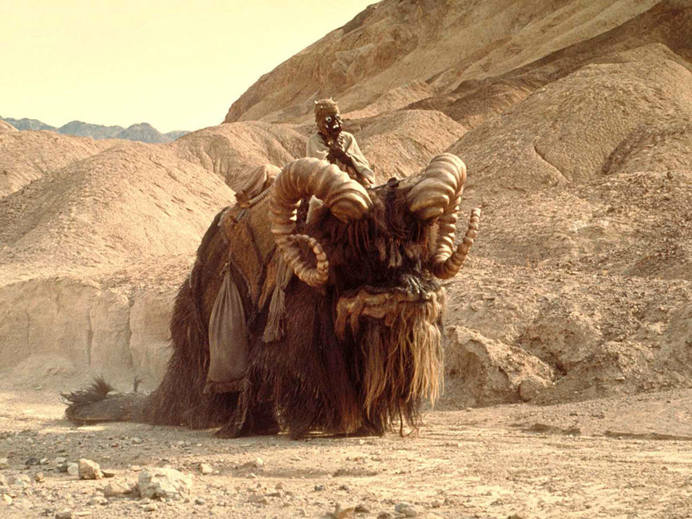 Desolation Canyon, Death Valley, January 1977