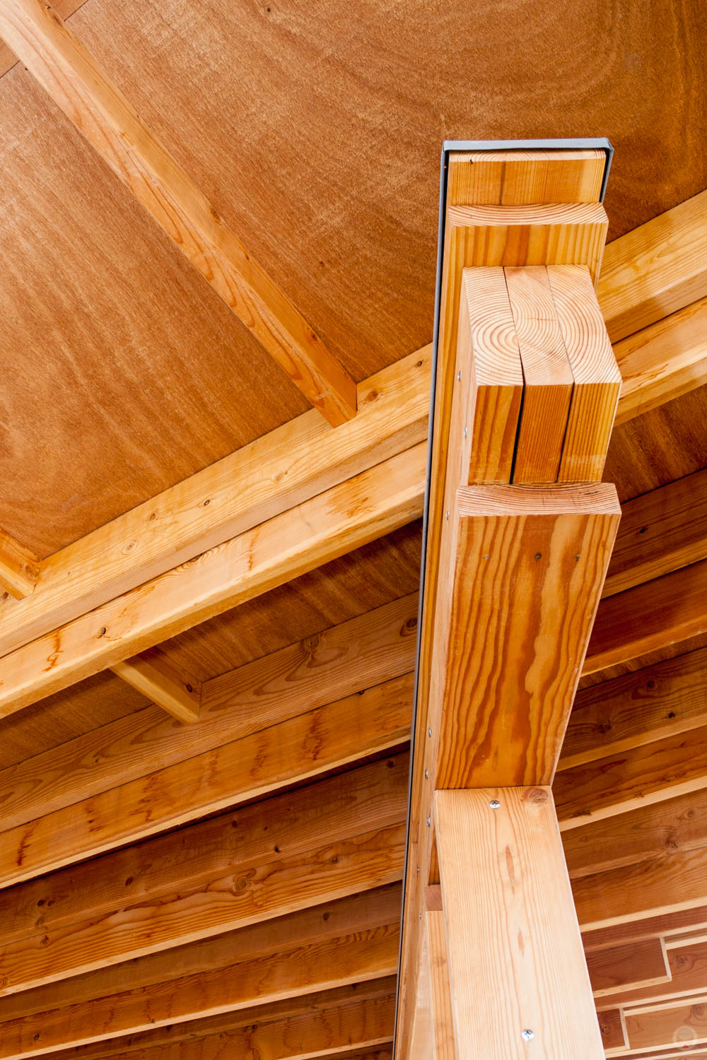 Roof framing at the Famous Tree residence.