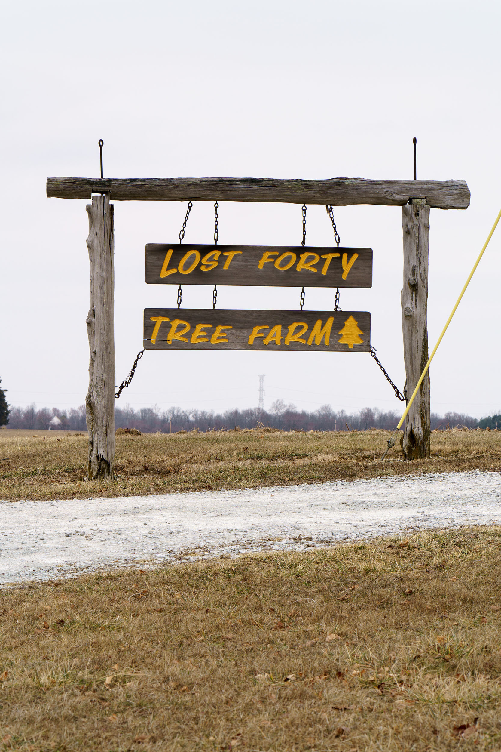  Since 2002, more than forty percent of Indiana’s Christmas tree farms have closed. The Lost Forty Tree Farm has been impacted by extreme weather and could only open one weekend the 2019 holiday season. 