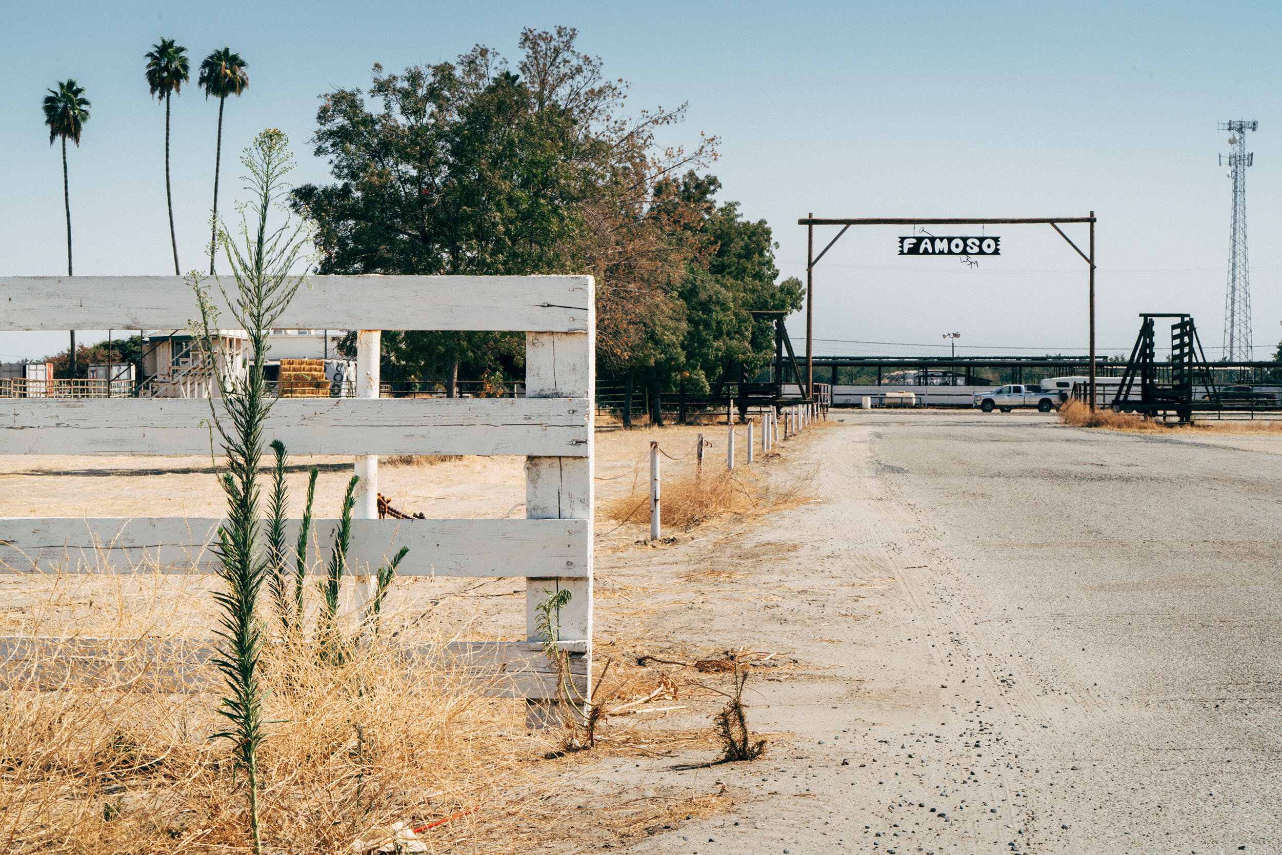 Auctioneers_Bakersfield_01.jpg