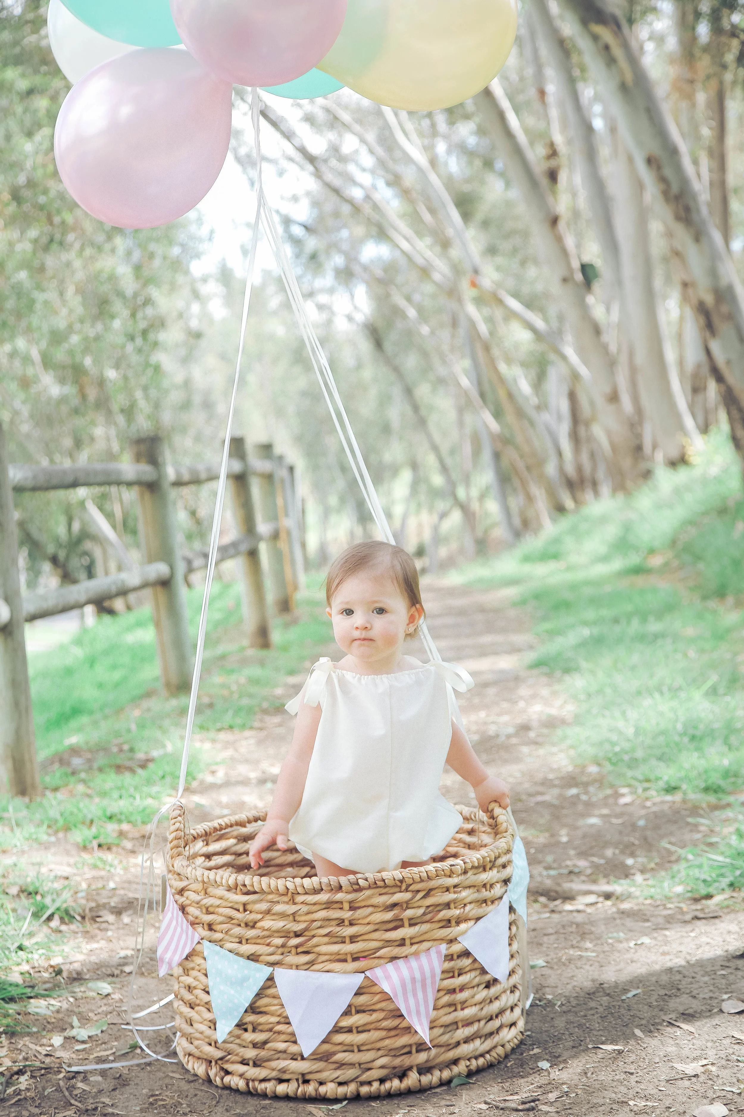 hot air balloon baby basket