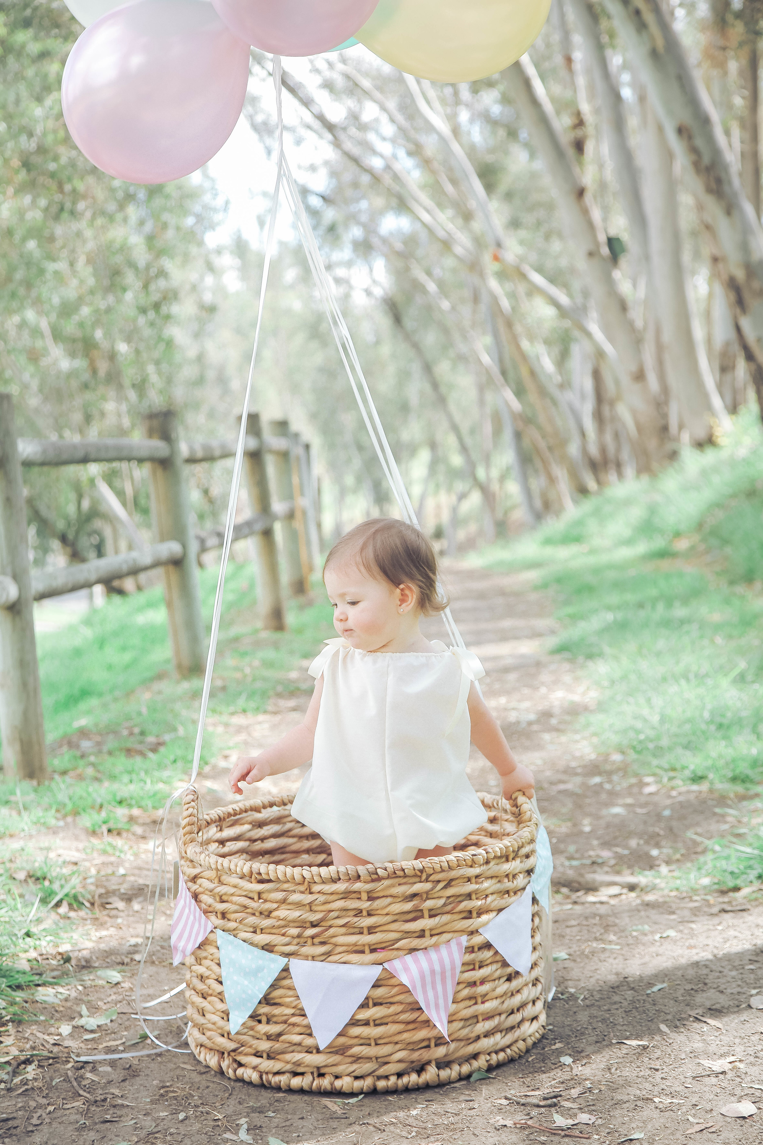 hot air balloon baby basket