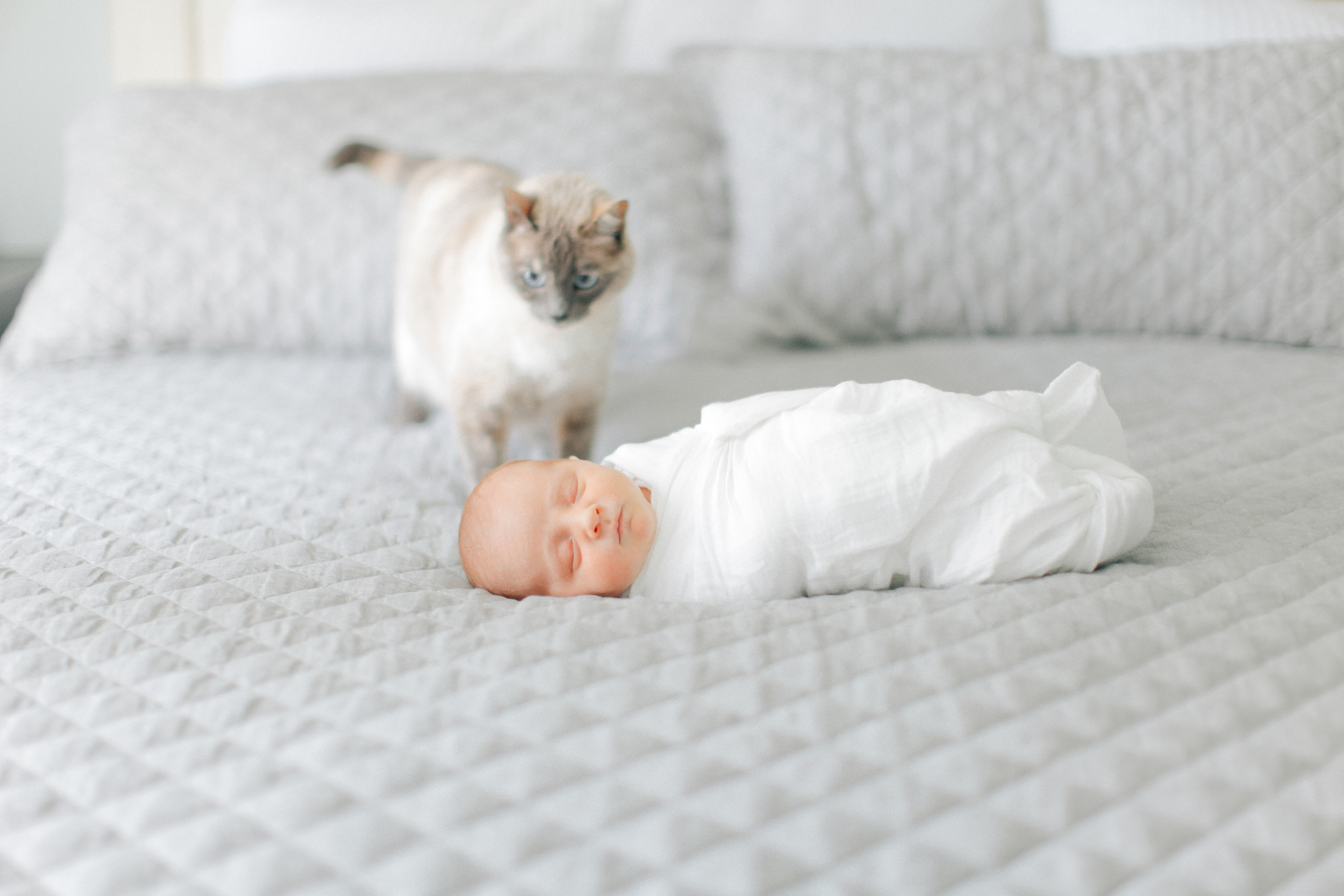 Cori Kleckner- Rackleff Newborn Session1-79.JPG