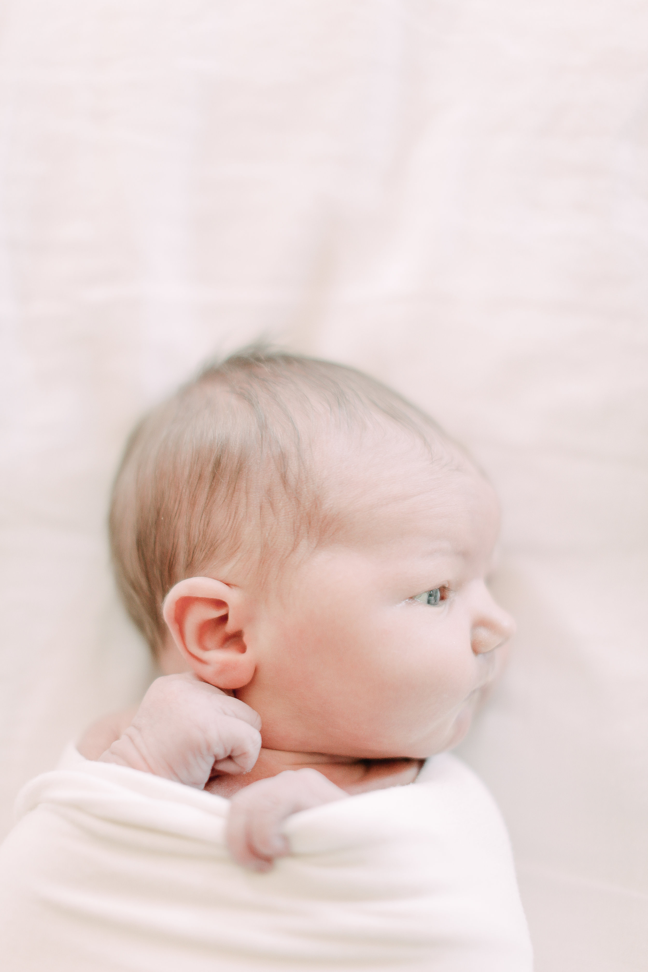 Cori Kleckner Photography- Schweiss Newborn Session1-192.JPG