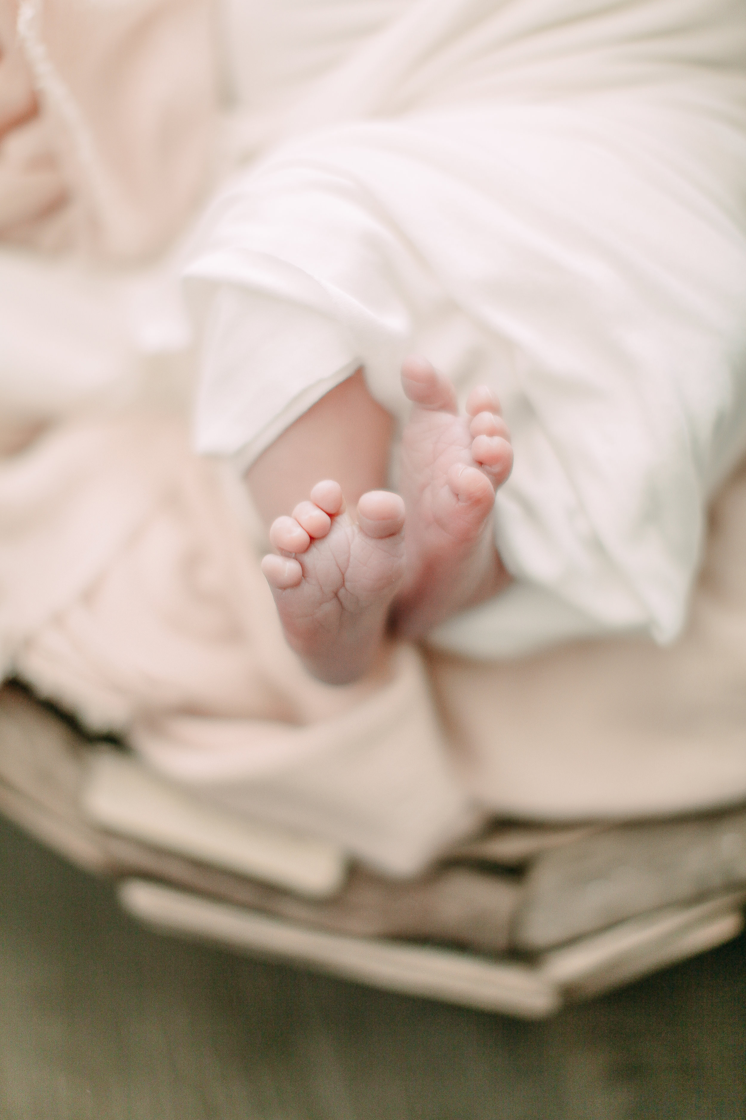 Cori Kleckner Photography- Schweiss Newborn Session1-203.JPG