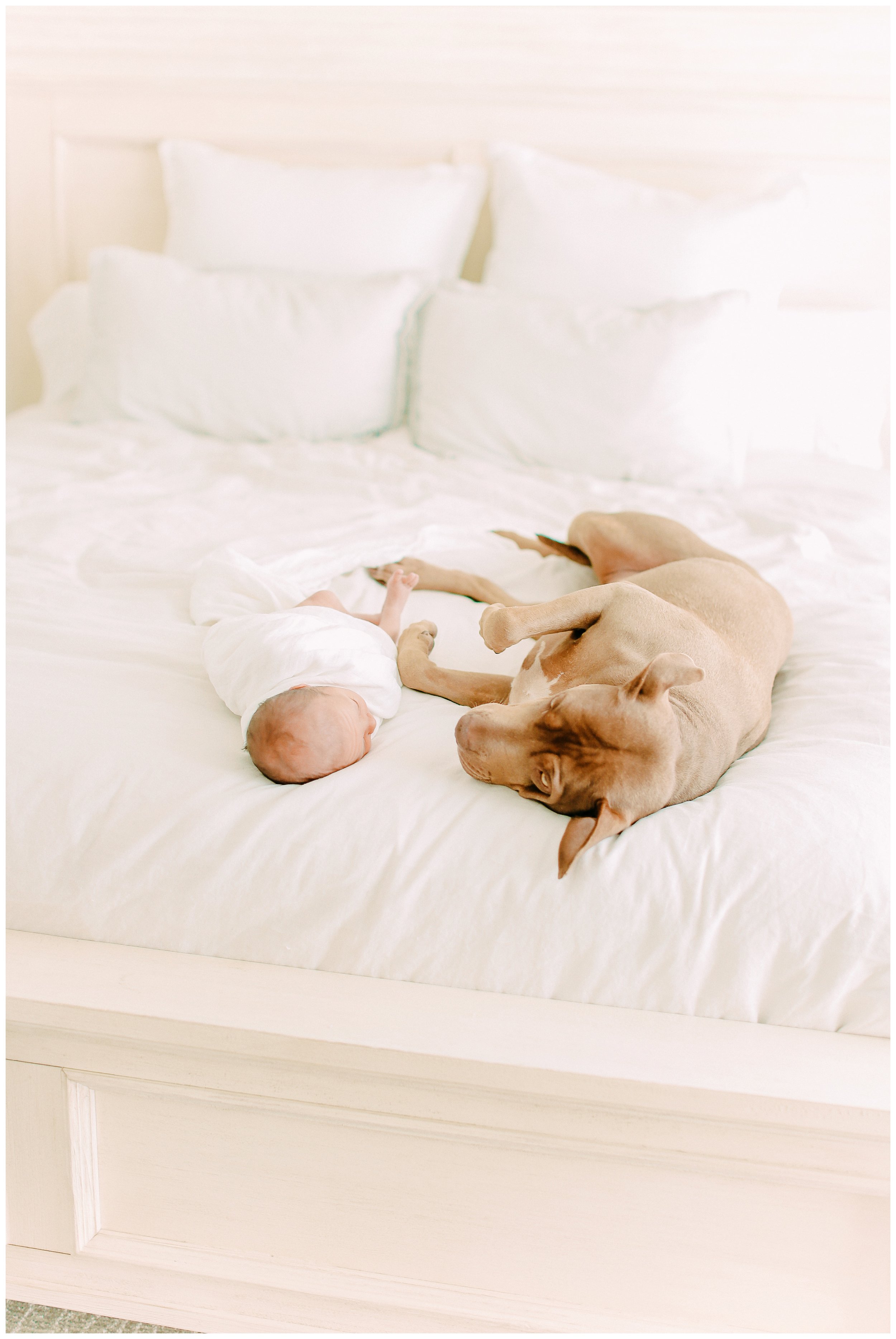 In-home-newborn-Session_Orange_county_newborn_photographer_cori_kleckner_photography_laguna_beach_family_session_0757.jpg