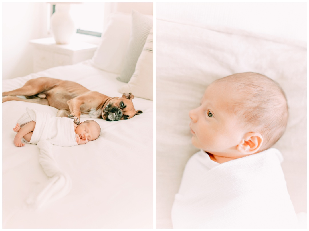 Newport_Beach_Newborn_Lifetsyle_Photographer_Orange_County_Family_Photography_Cori_Kleckner_Photography_Orange_County_Family_Photographer_Newborn_Photos_Session__1231.jpg