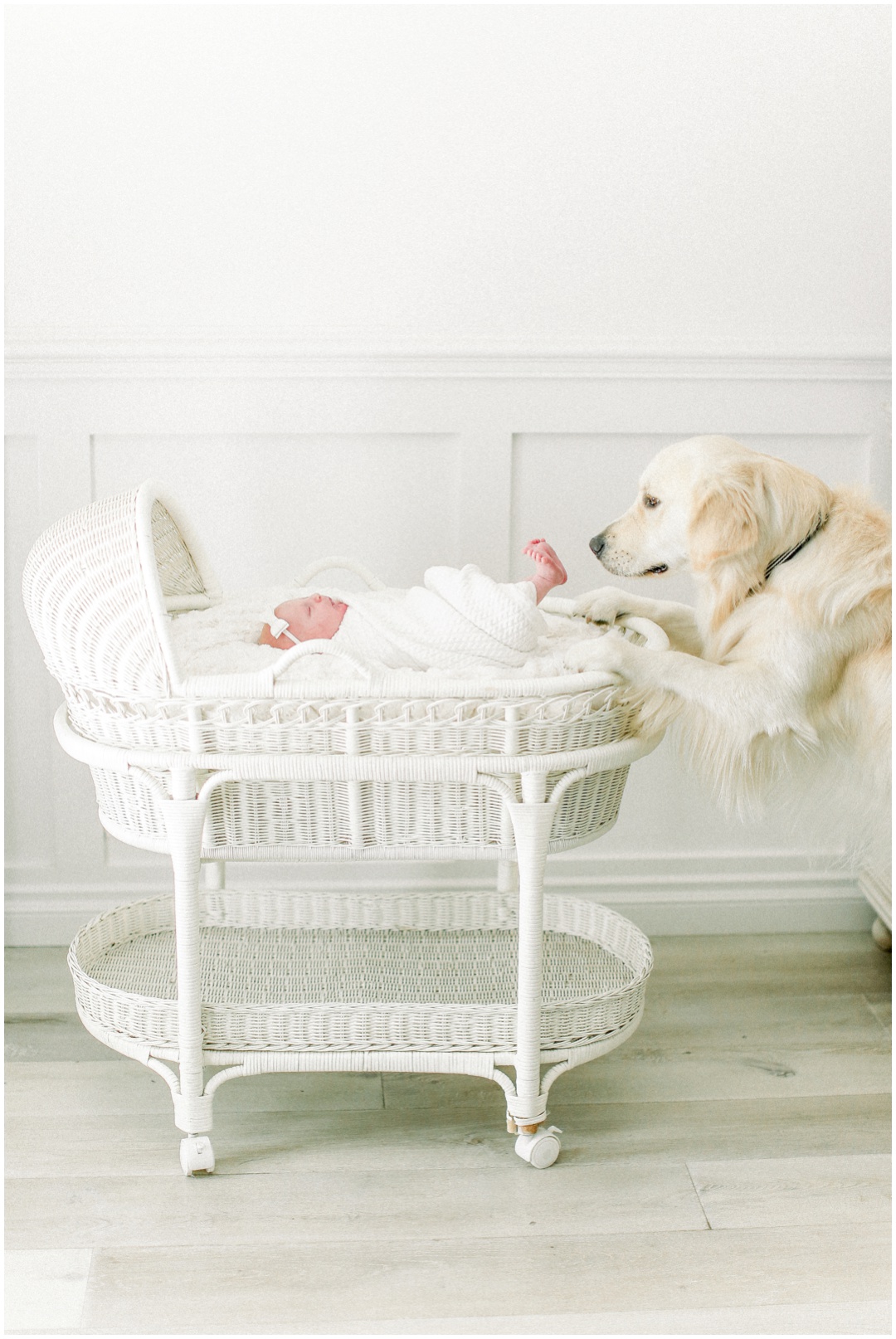 Orange_County_Newborn_Photographer_Newport_Beach_Family_Photographer_Newport_Beach_Newborn_Photographer_Orange_County_Family_Photographer_Cori_Kleckner_Photography_Huntington_Beach_Photographer_Schuchert_Family_Session_2621.jpg