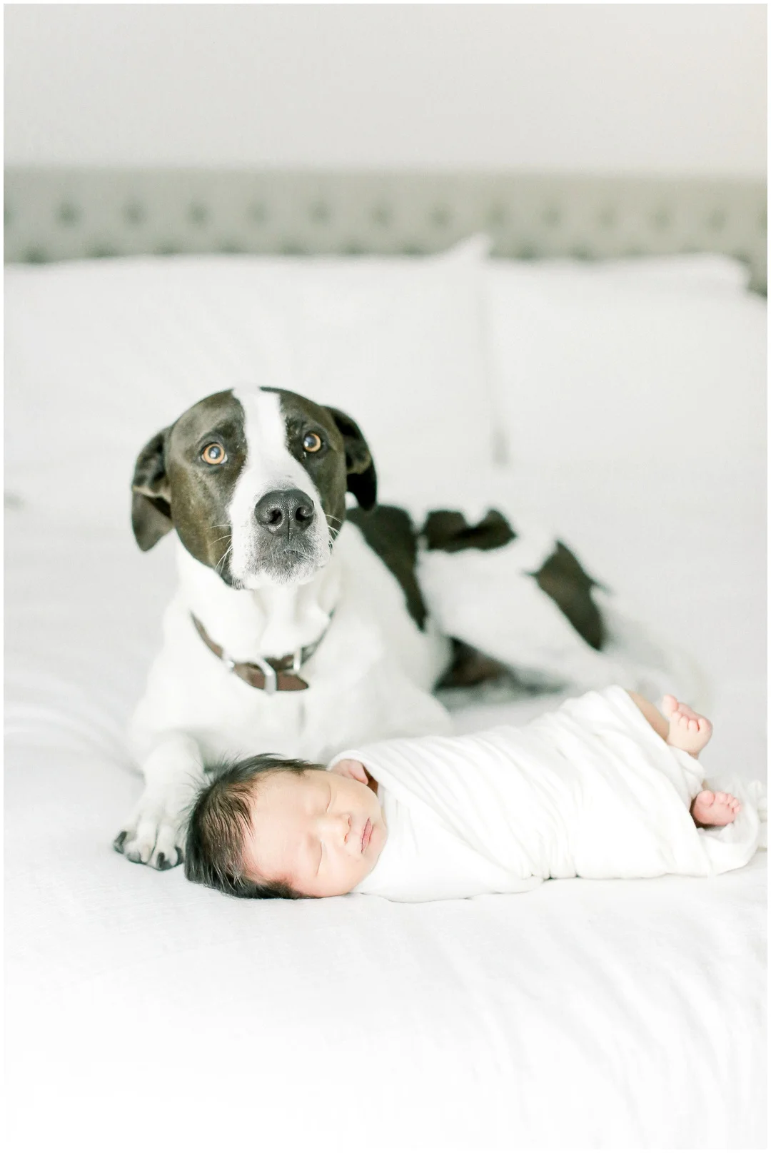 Newport_Beach_Newborn_Photographer_Newport_Beach_Maternity_Photographer_Orange_County_Family_Photographer_Cori_Kleckner_Photography_Huntington_Beach_Photographer__Corey_Knapp_Jessica_Knapp_Family_Photos__2783.jpg