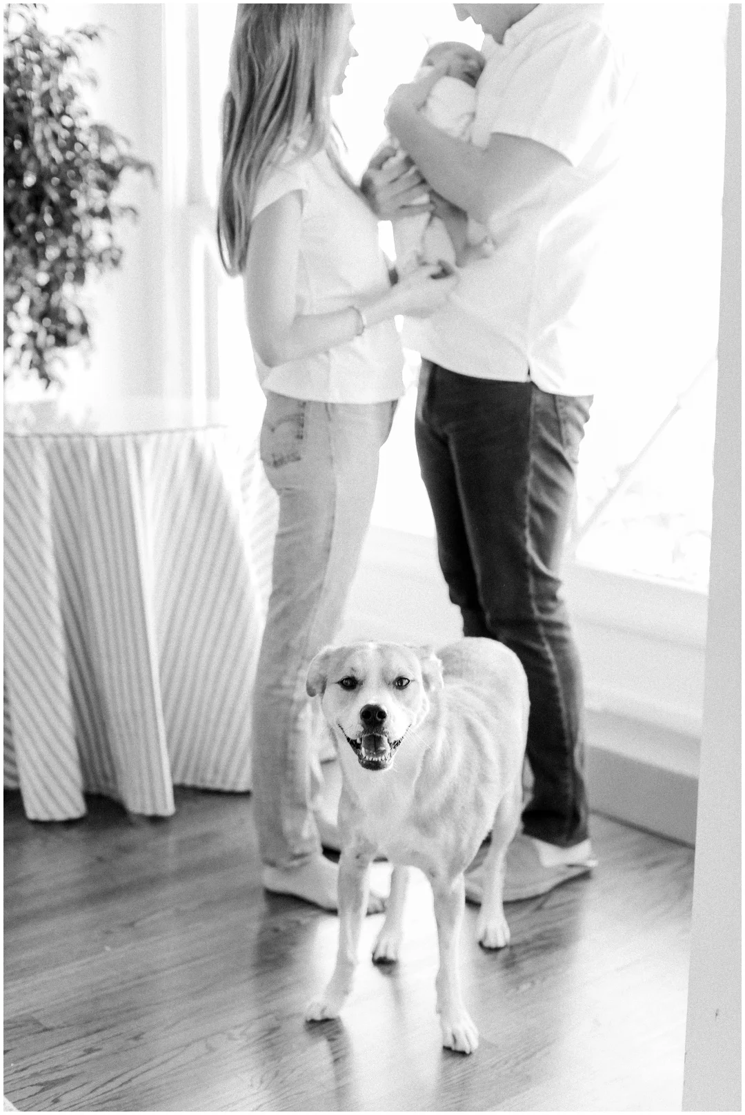 Newport_Beach_Newborn_Photographer_Newport_Beach_Maternity_Photographer_Orange_County_Family_Photographer_Cori_Kleckner_Photography_Huntington_Beach_Photographer__Courtney_Griffiths_Jason_Griffiths__2907.jpg