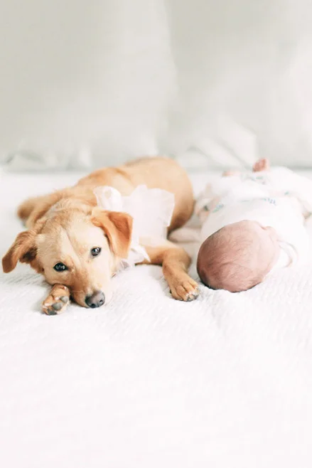 Orange-County-Newborn-Photographer-Orange-County-Maternity-Photographer-Cori-Kleckner-Photography92.JPG