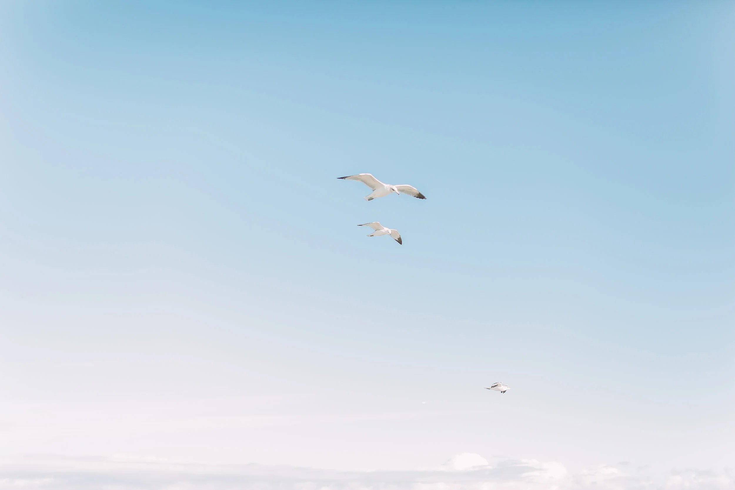 Cori-Kleckner-Photography-  1-4.JPG