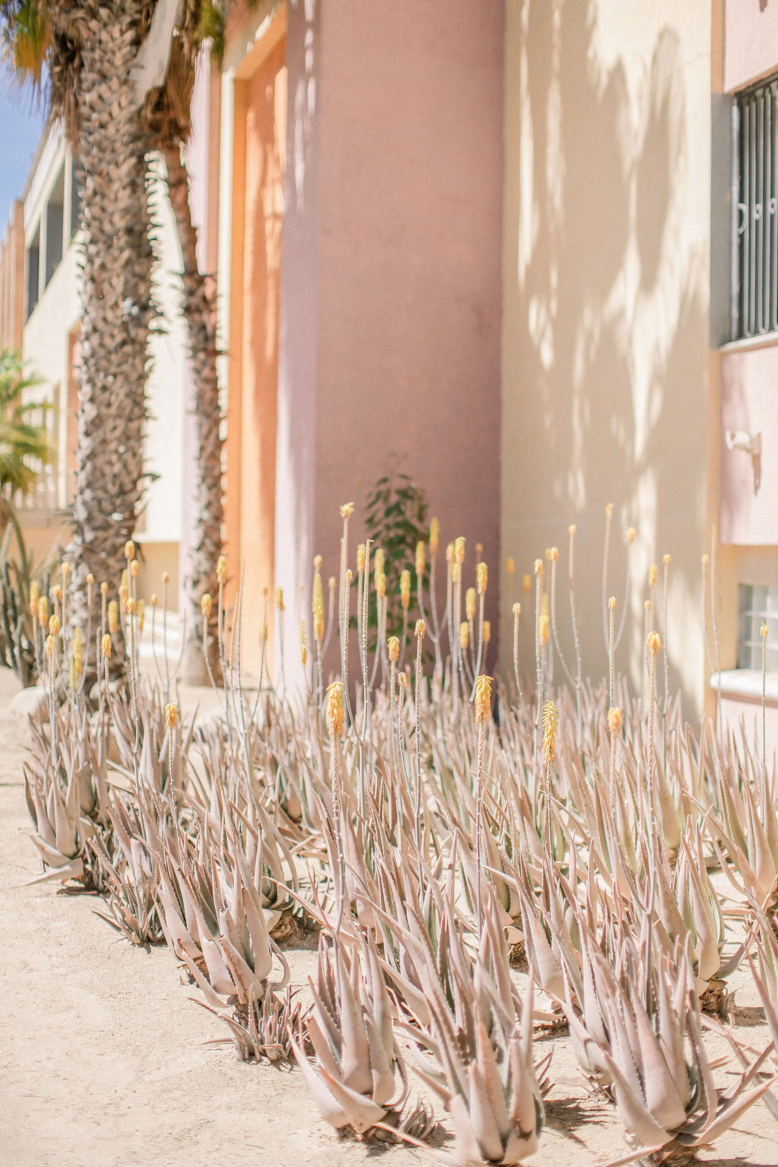 Cori-Kleckner-Photography- MEXICO1-362.JPG