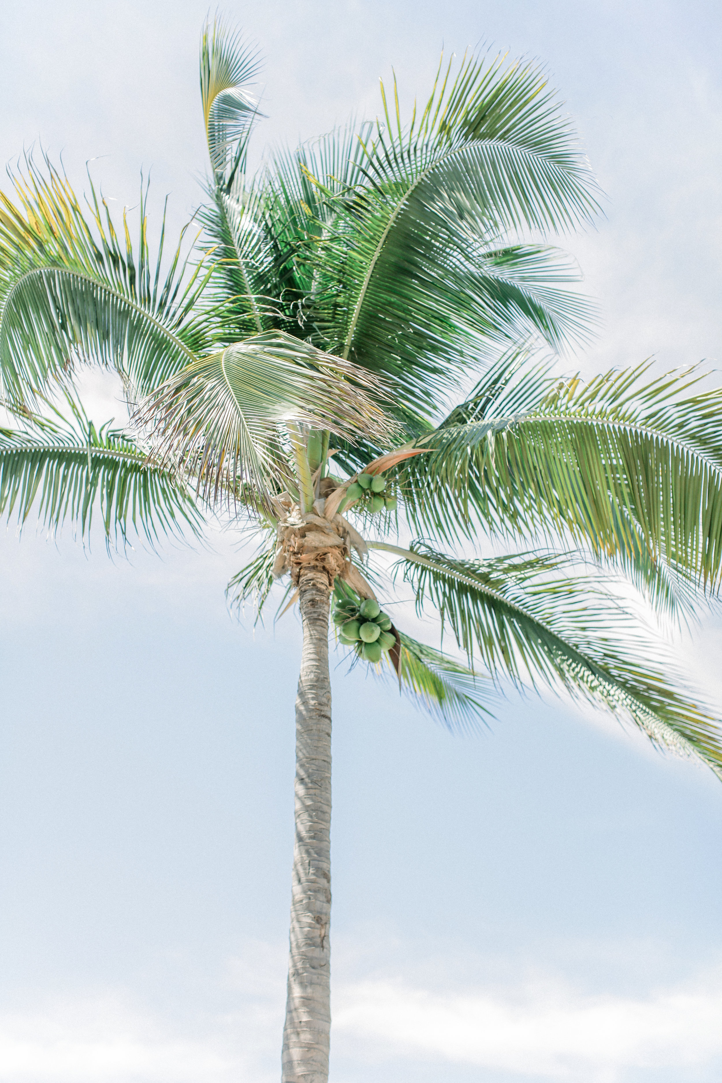 Cori-Kleckner-Photography- MEXICO1-179.JPG