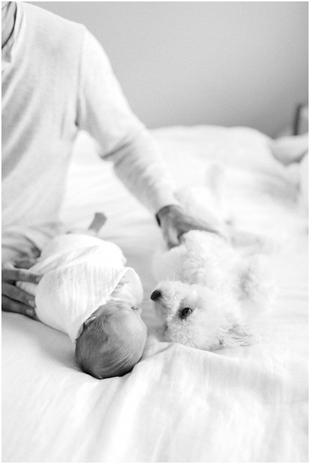 Newport_Beach_Newborn_Light_Airy_Natural_Photographer_Newport_Beach_Photographer_Orange_County_Family_Photographer_Cori_Kleckner_Photography_Huntington_Beach_Photographer_Family_OC_Newborn_Megan_Bradley_Schueneman_Charlie_Schueneman_Dean__3600.jpg