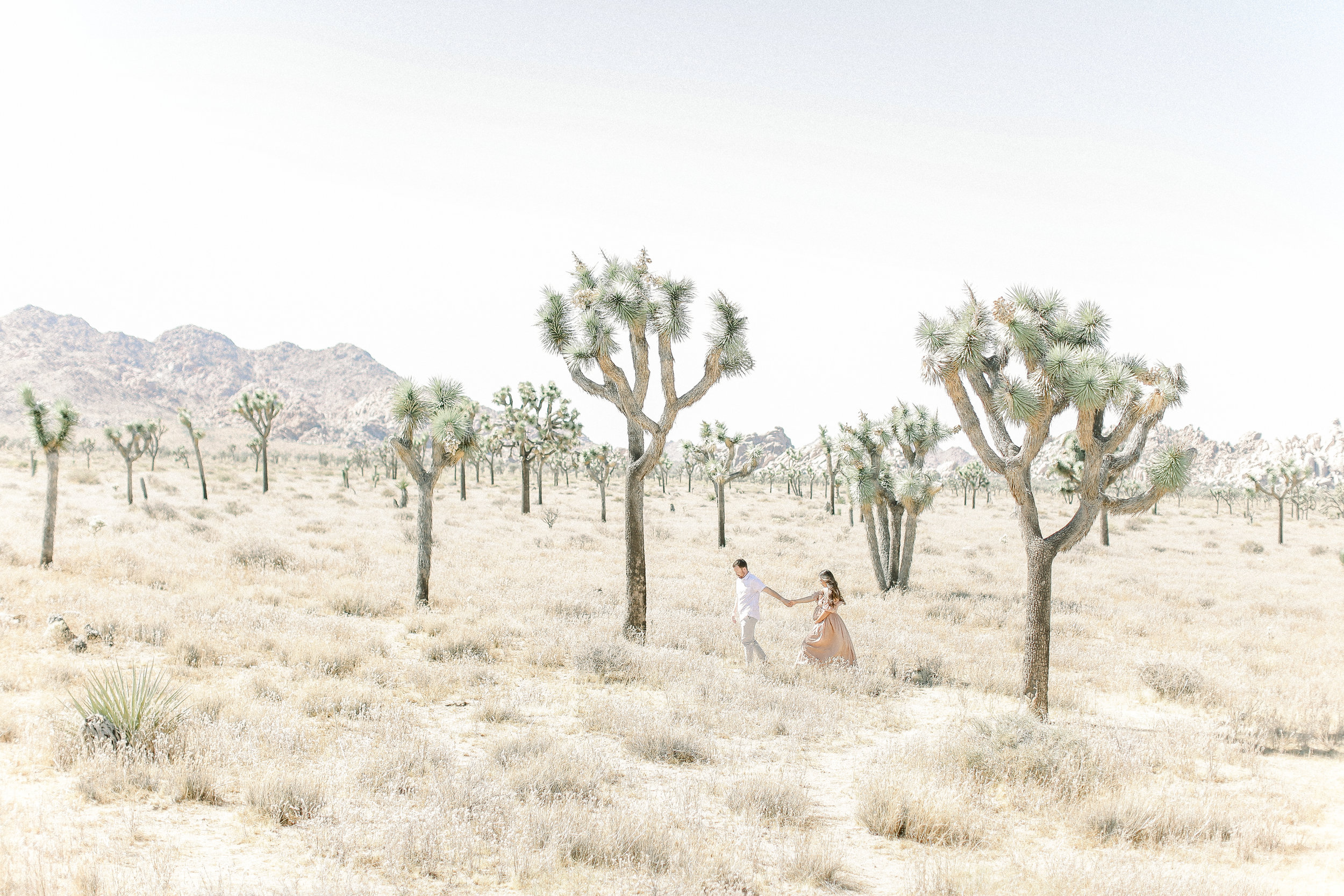 Joshua-Tree_Maternity_session_photos_Cori_kleckner_photography_.JPG