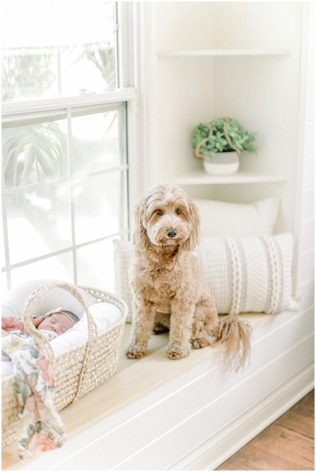 Newport_Beach_Newborn_Light_Airy_Natural_Photographer_Newport_Beach_Photographer_Orange_County_Family_Photographer_Cori_Kleckner_Photography_Newport_Beach_Newborn_Photographer_Taylor_Colacion_Family__4254.jpg