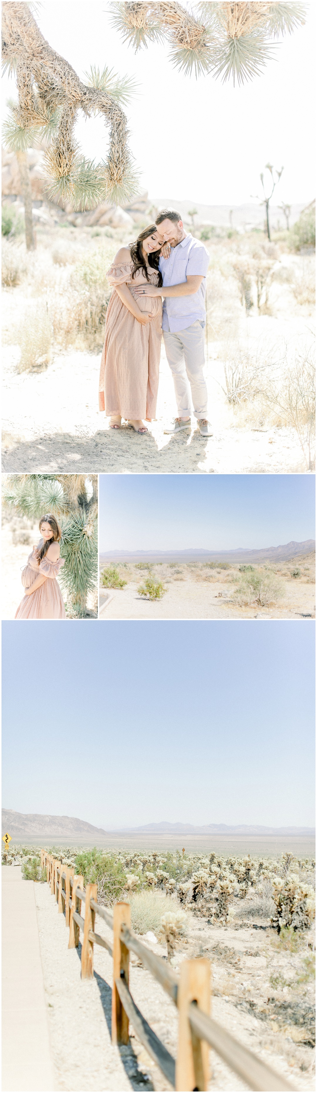 Newport_Beach_Joshua_Tree_Maternity_Photos_Session_Leliani_Hailey_Shane_Hailey_Maternity_Session__4280.jpg