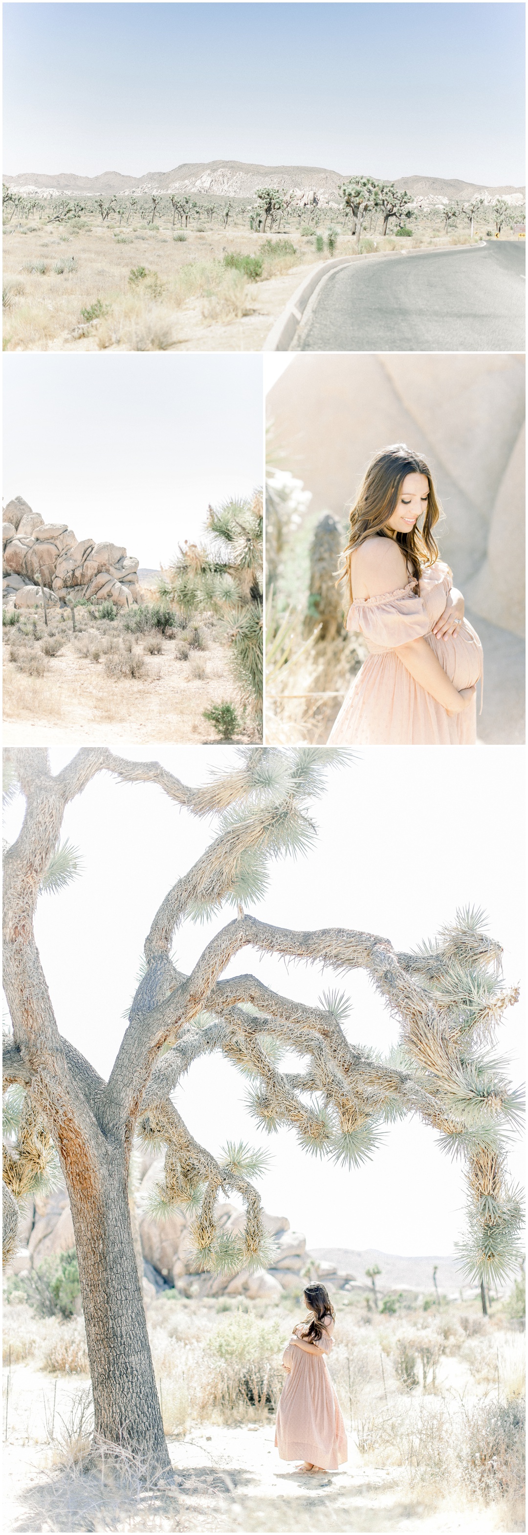 Newport_Beach_Joshua_Tree_Maternity_Photos_Session_Leliani_Hailey_Shane_Hailey_Maternity_Session__4273.jpg