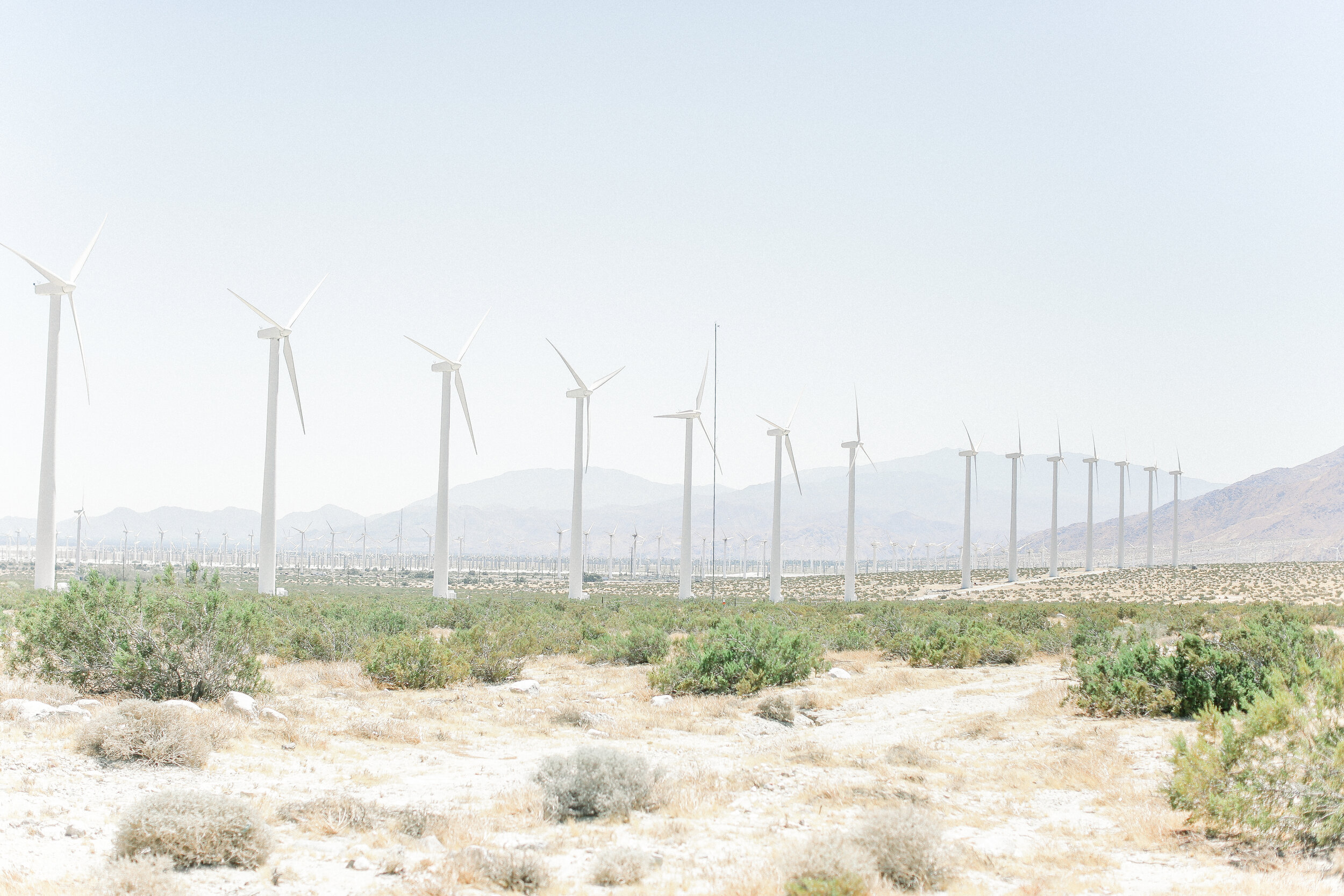Kleckner_Photography- Orange_County_photographer_Joshua_Tree_Desert_Prints_3.JPG