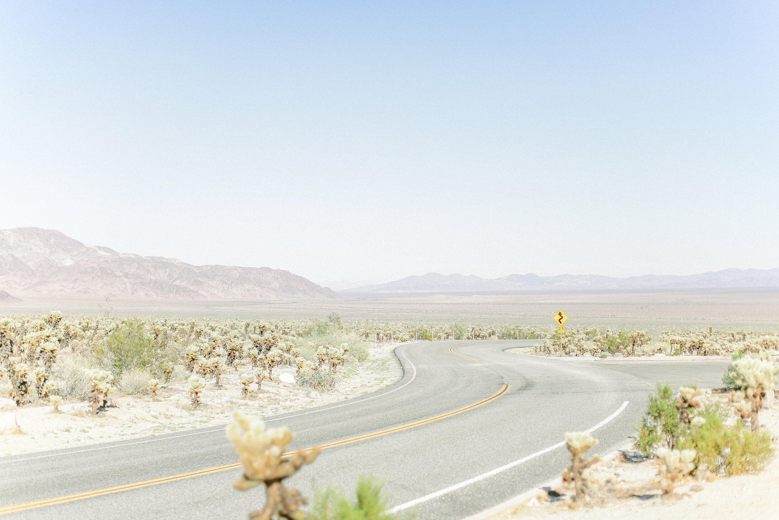 Kleckner_Photography- Orange_County_photographer_Joshua_Tree_Desert_Prints_4.JPG