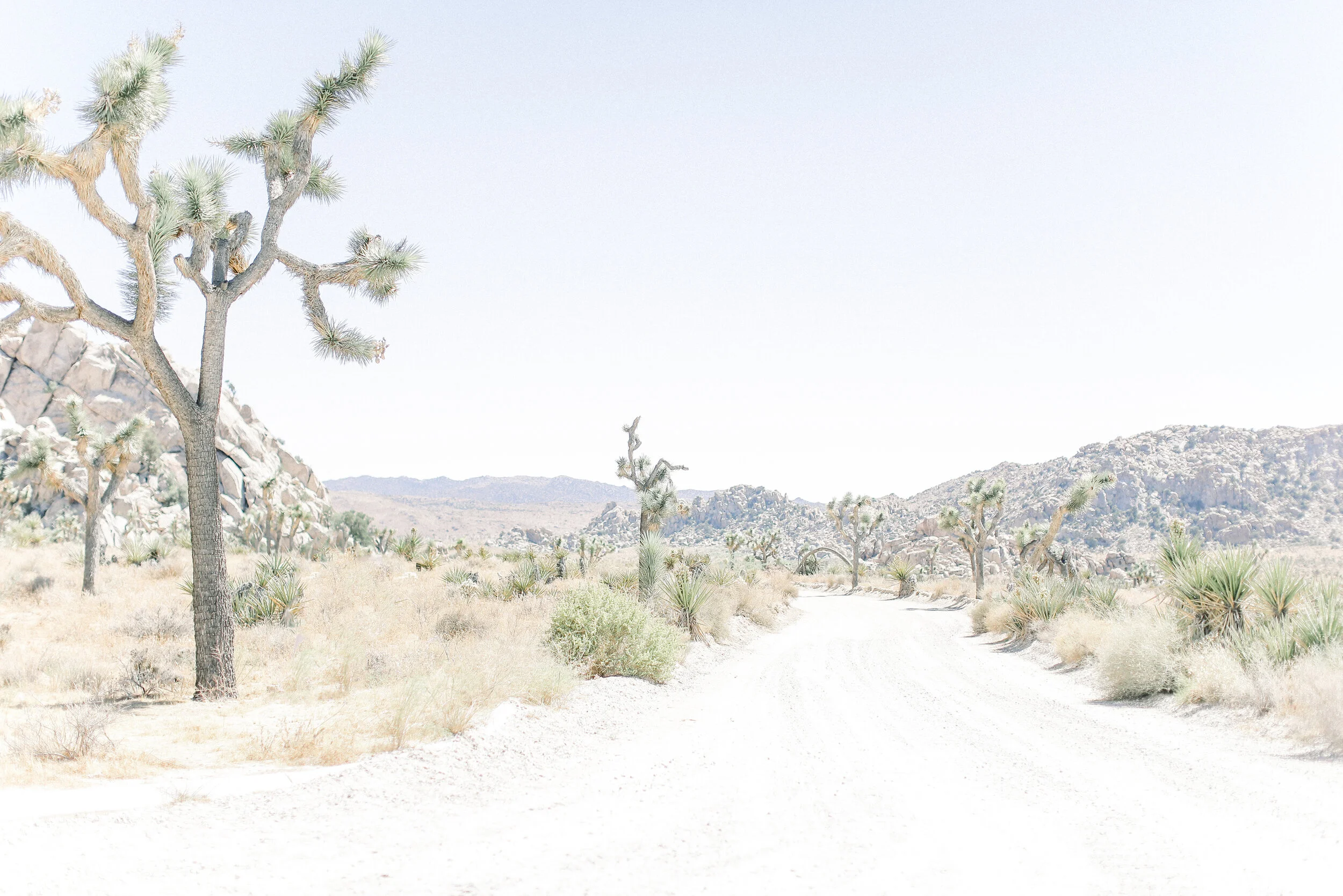 Kleckner_Photography- Orange_County_photographer_Joshua_Tree_Desert_Prints_26.JPG