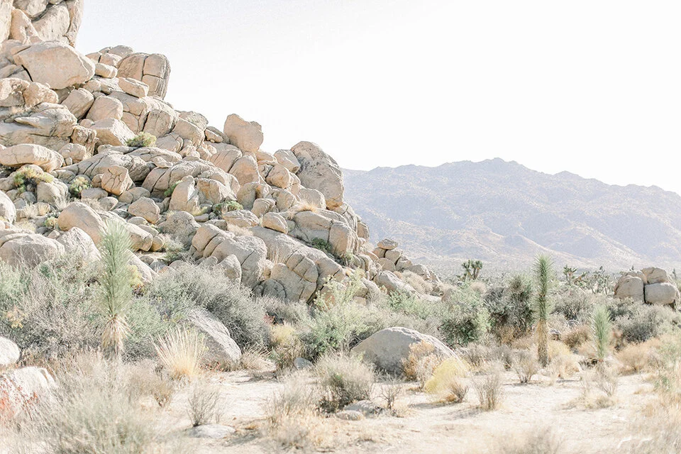 Cori-Kleckner-Photography- Joshua Tree National Park 1-84 copy.JPG