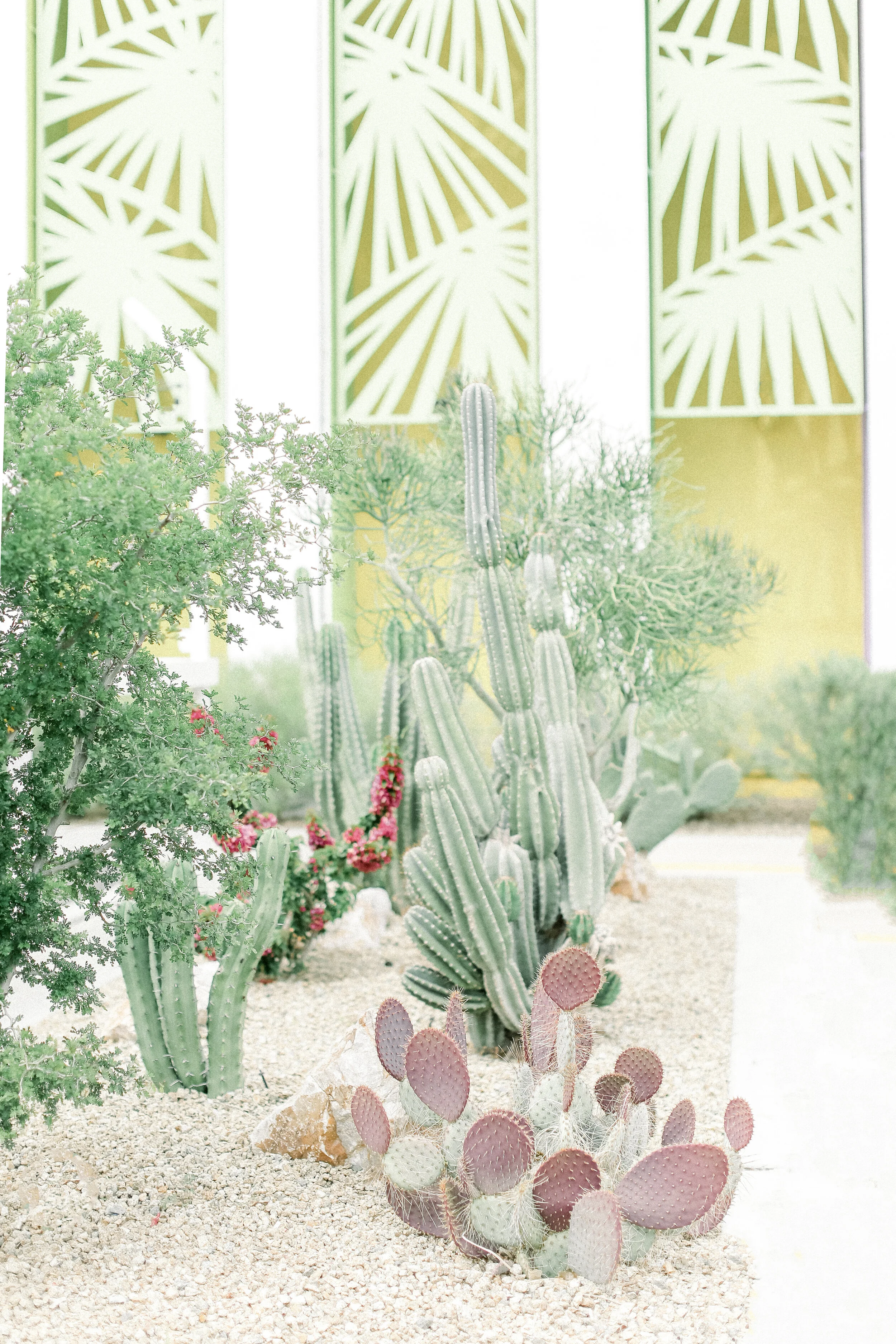 The_Saguaro_Hotel_Palm_Springs.JPG