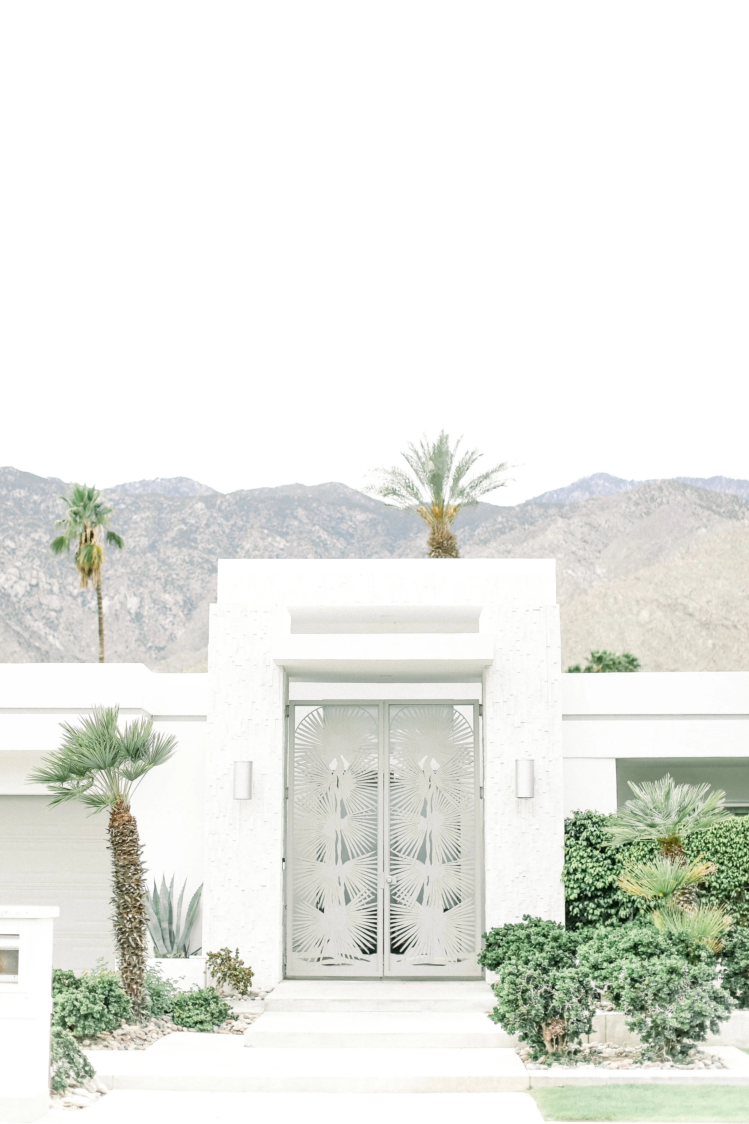 Silver_Palm_Fron_Door_Palm_Springs.JPG