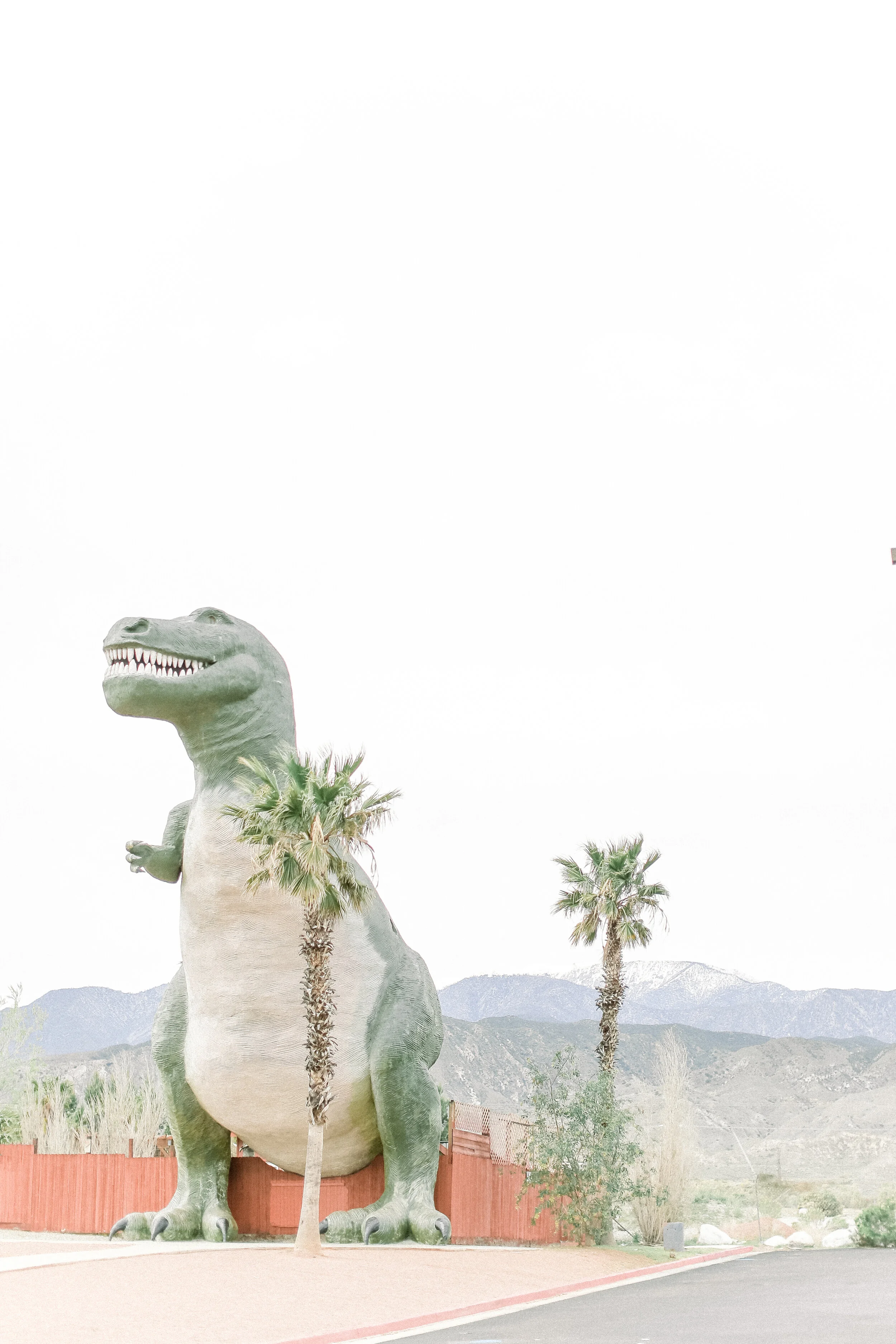 Cabazon_Dinosaurs_Worlds_Biggest_Dinosaurs__JPG.JPG