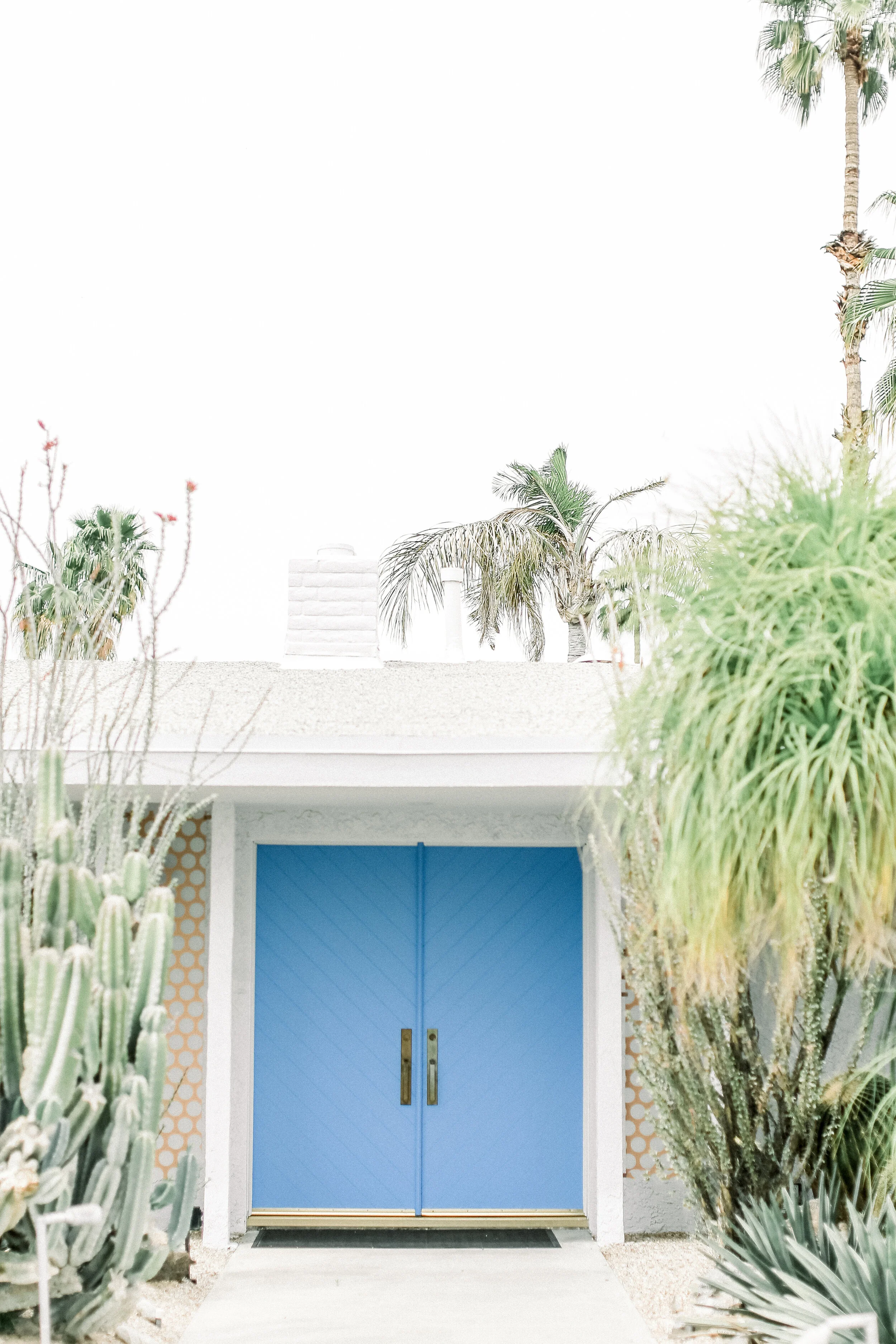 Bright_Blue_Palm_Springs_Door_.JPG