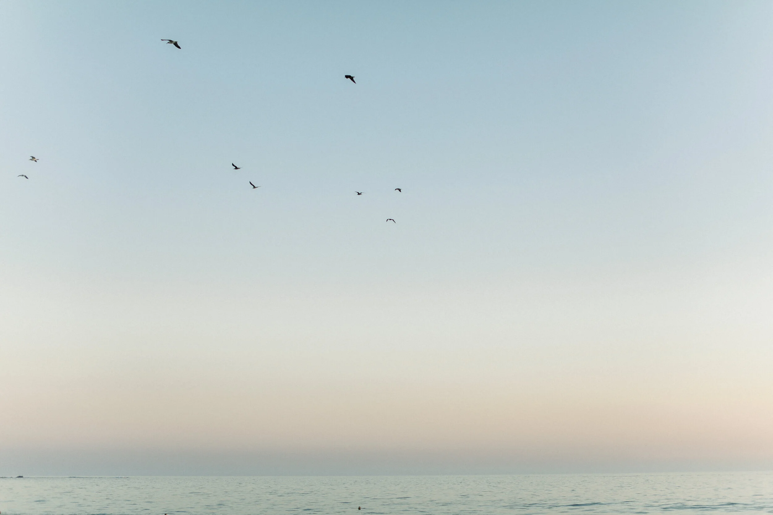 Cori-Kleckner-Photography- sunset-125.JPG